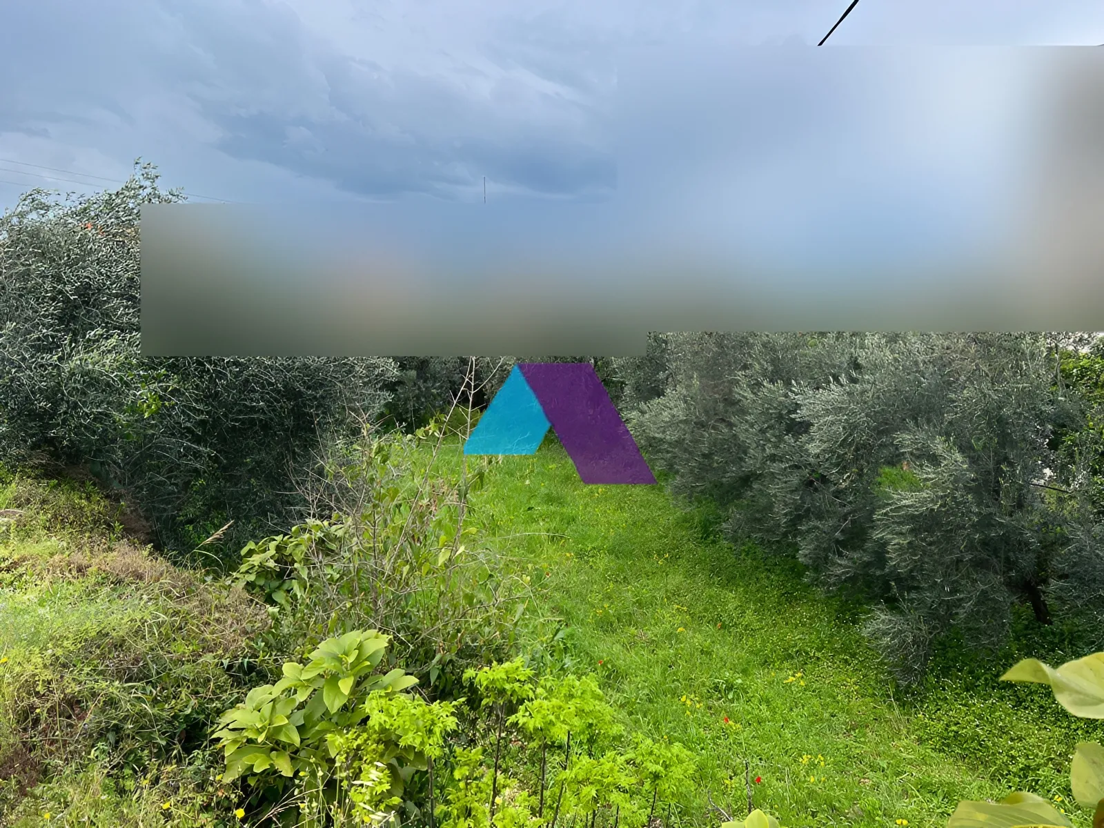 Land for Sale in Batroun