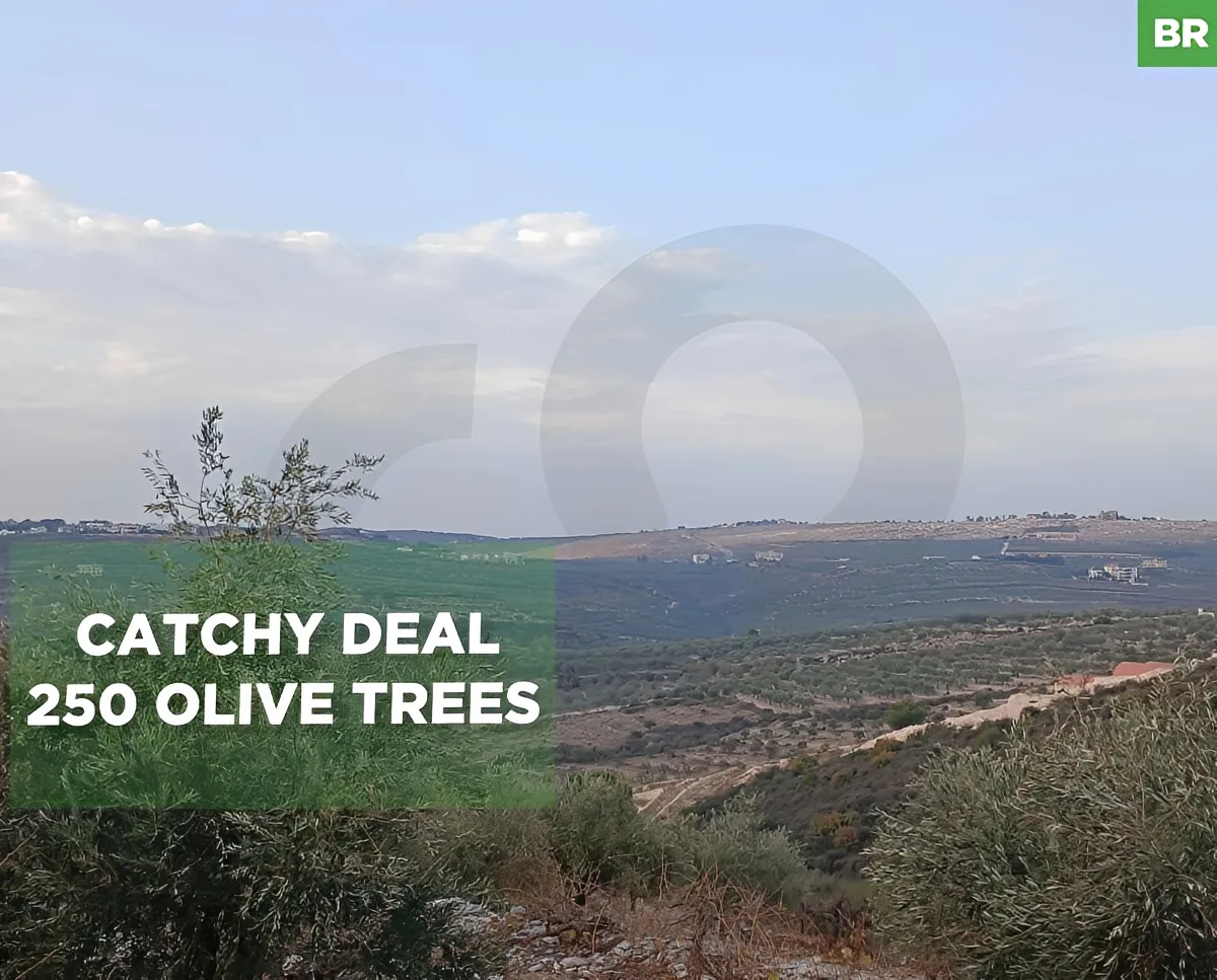 Land for Sale in Koura, Lebanon