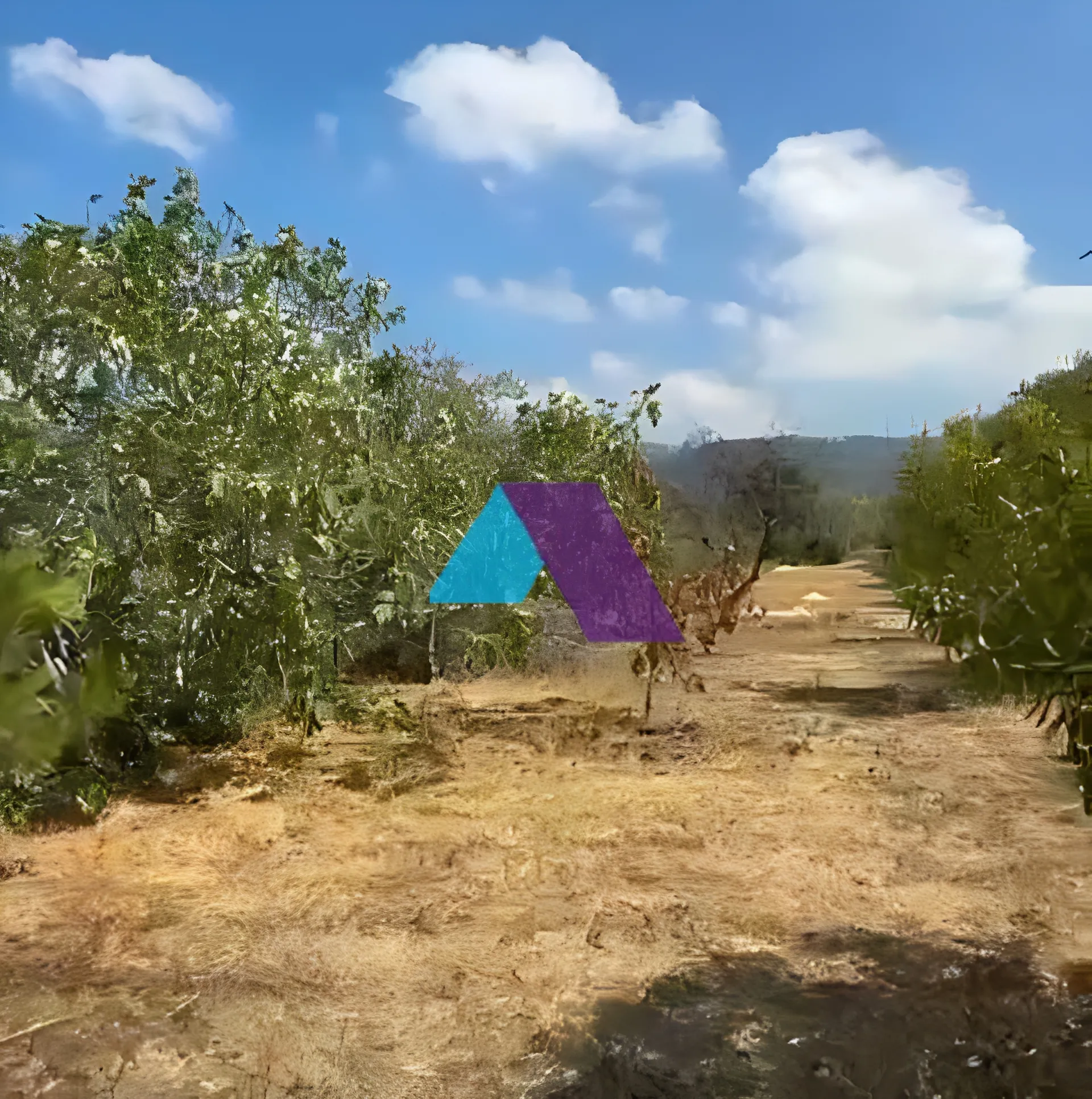 Land for Sale in Aarbaniye