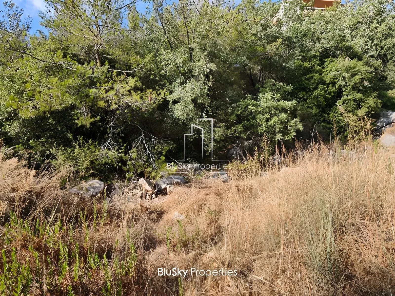 Land for Sale in Ouyoun Broumana
