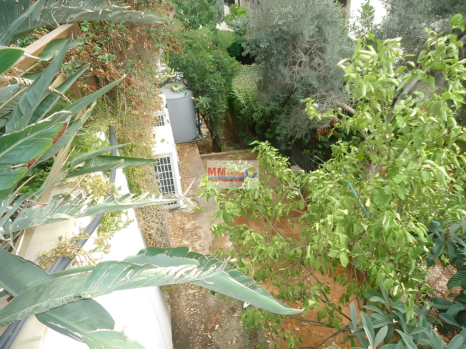 Apartment for Rent in Montiverde