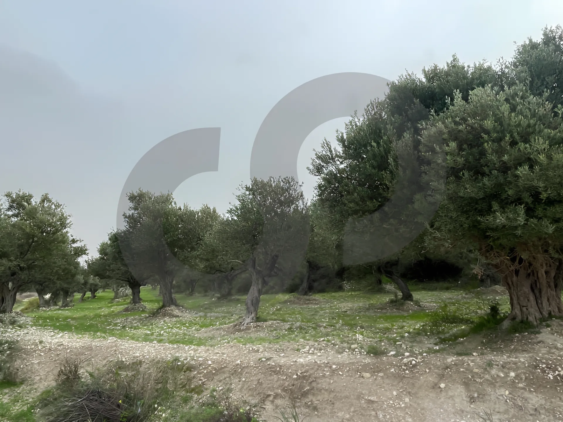 Land for Sale in Chekka