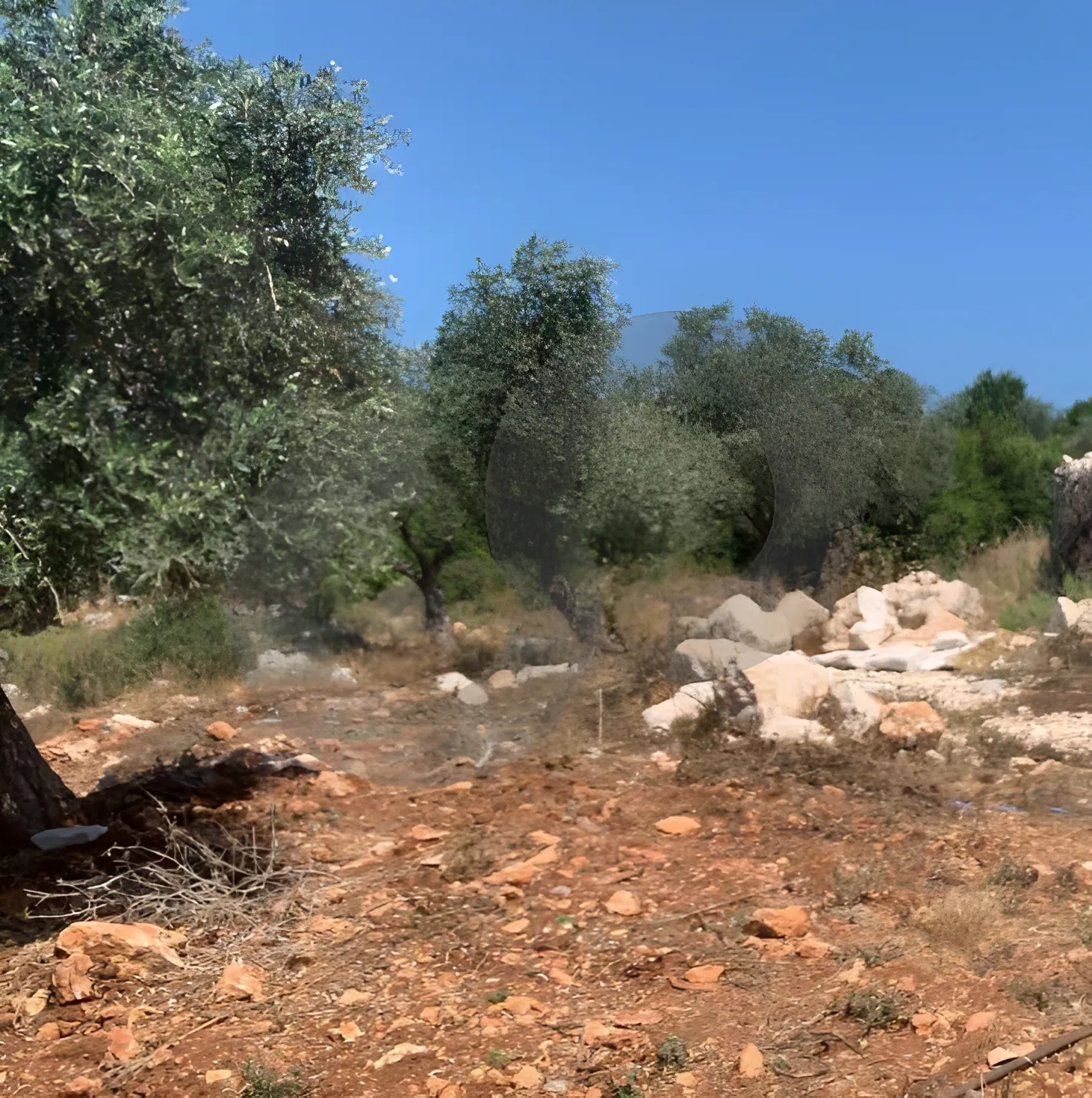 Land for Sale in Koura