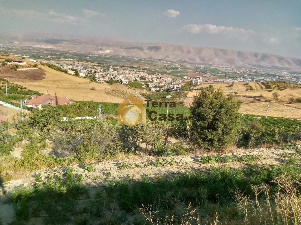 Land for sale in Maalaqa
