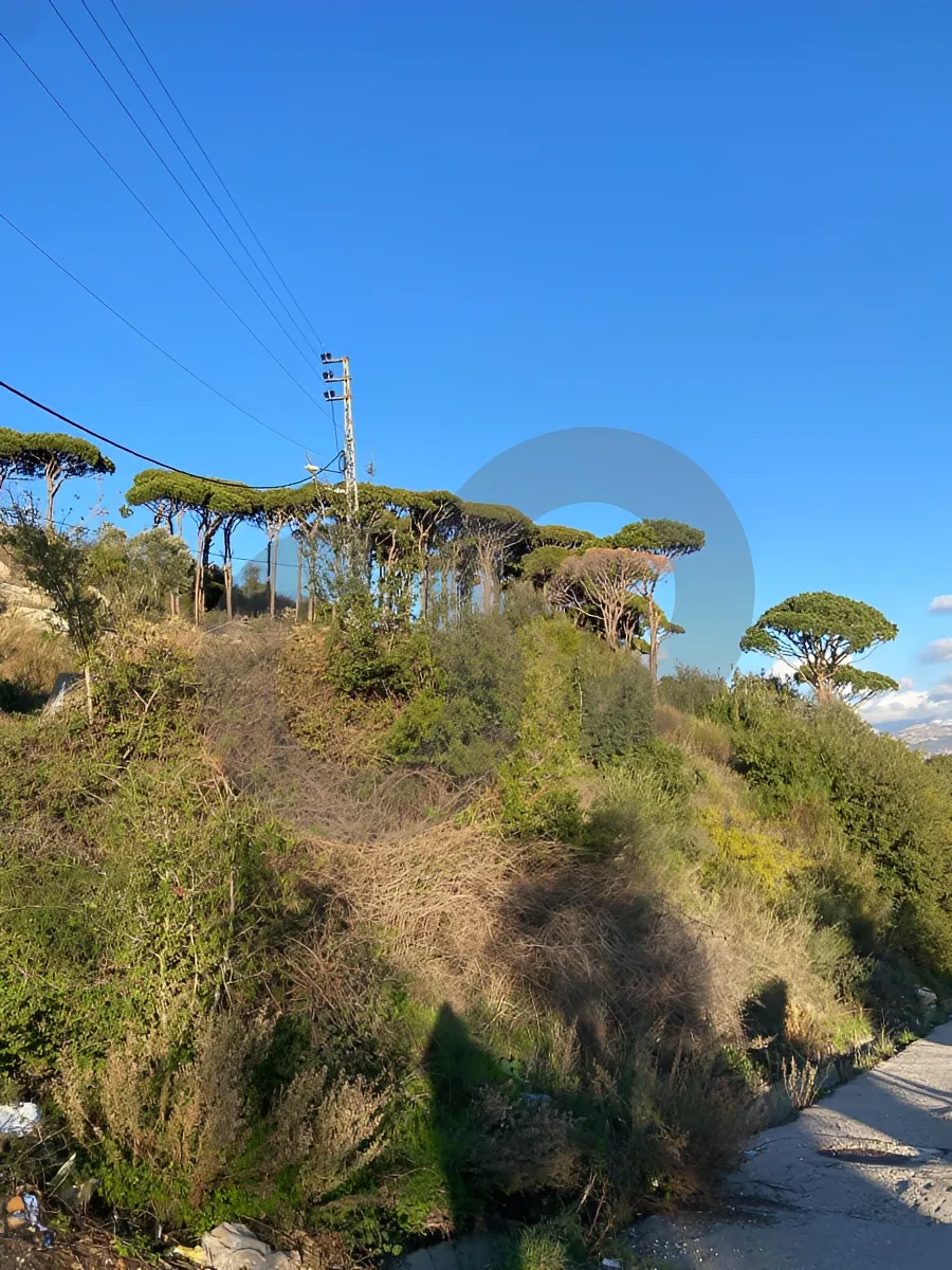 Land for Sale in Kfar Matta