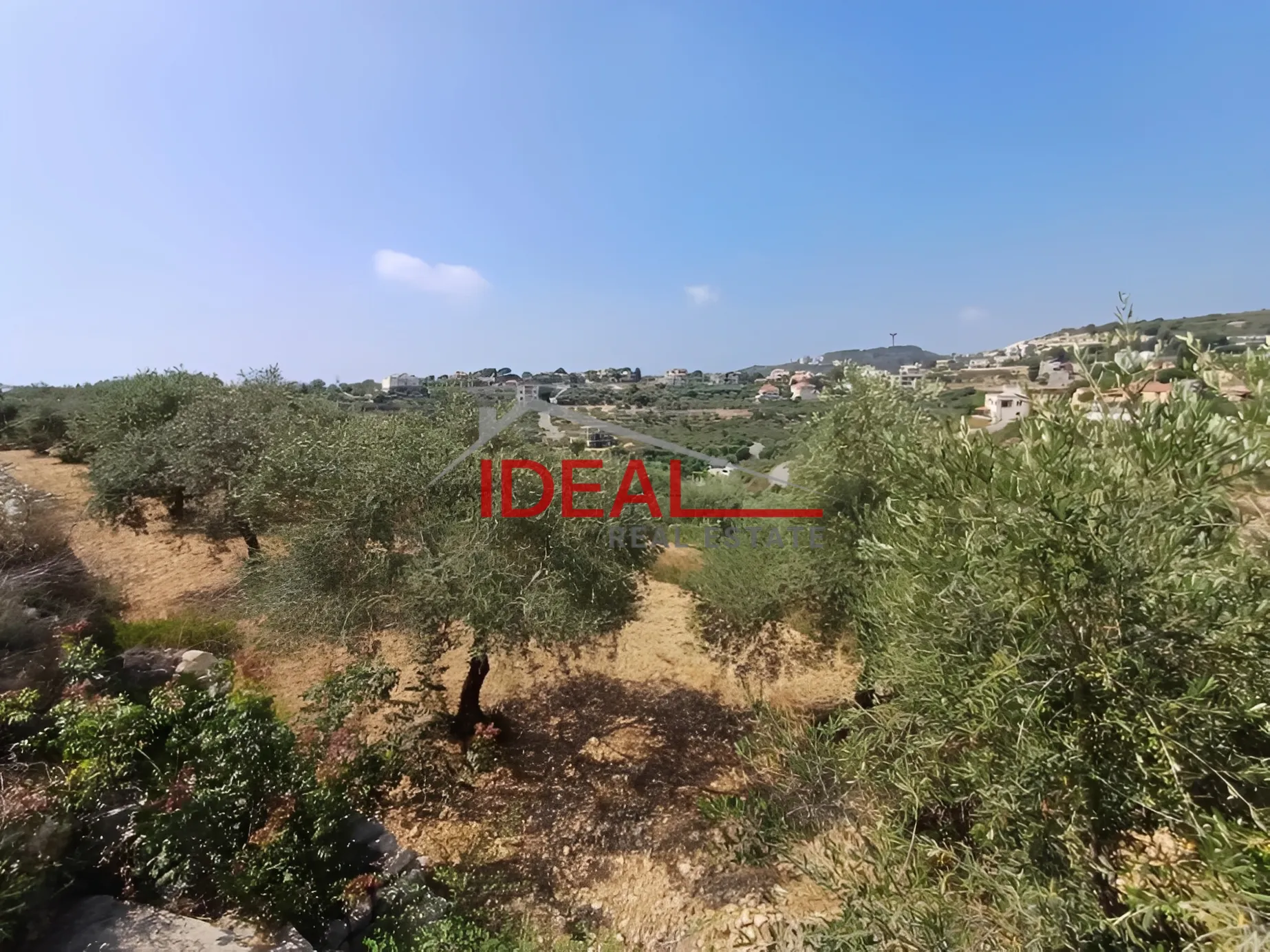 Land for Sale in Edde, Lebanon