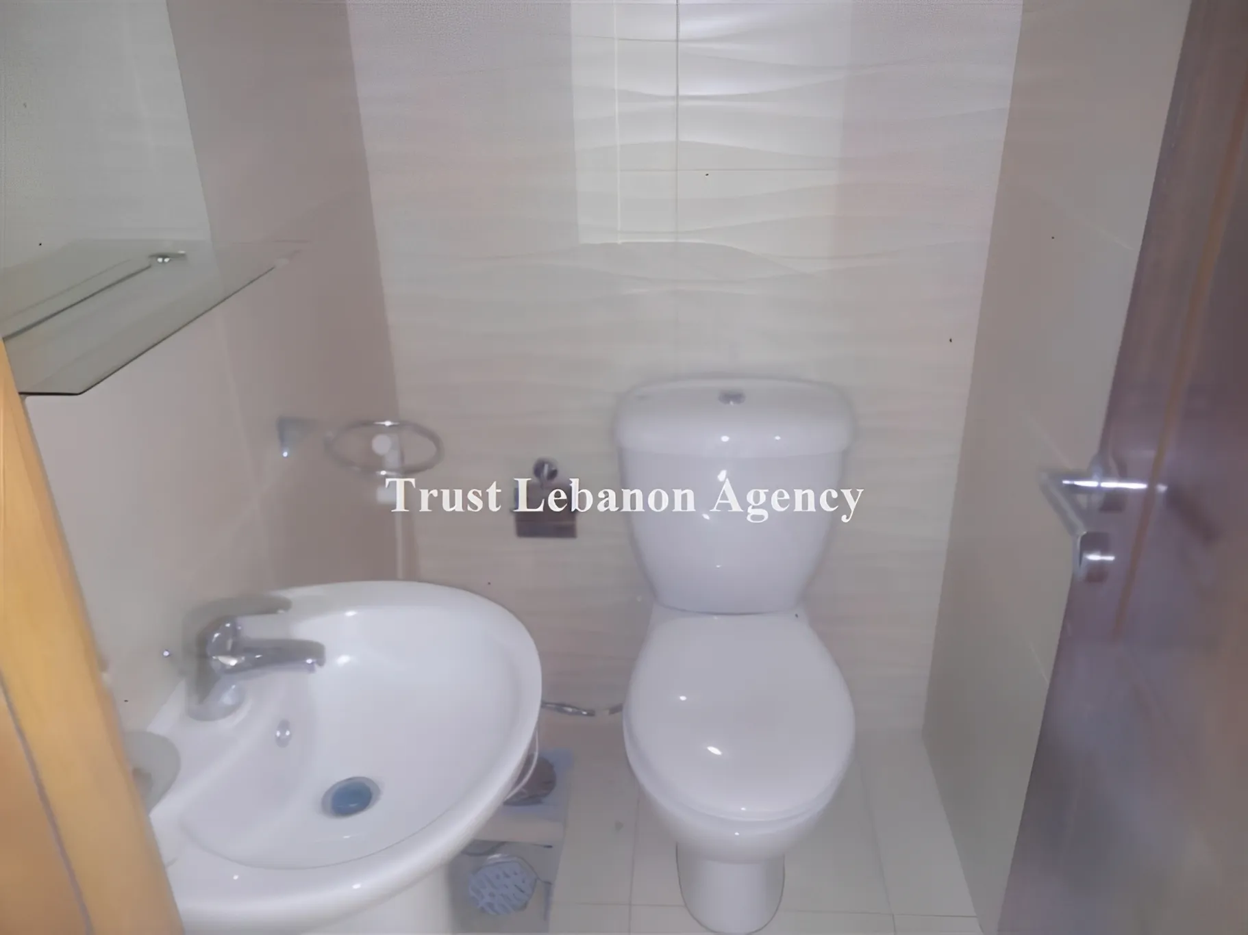 Apartment for Sale in Ras El Nabeh Beirut Lebanon