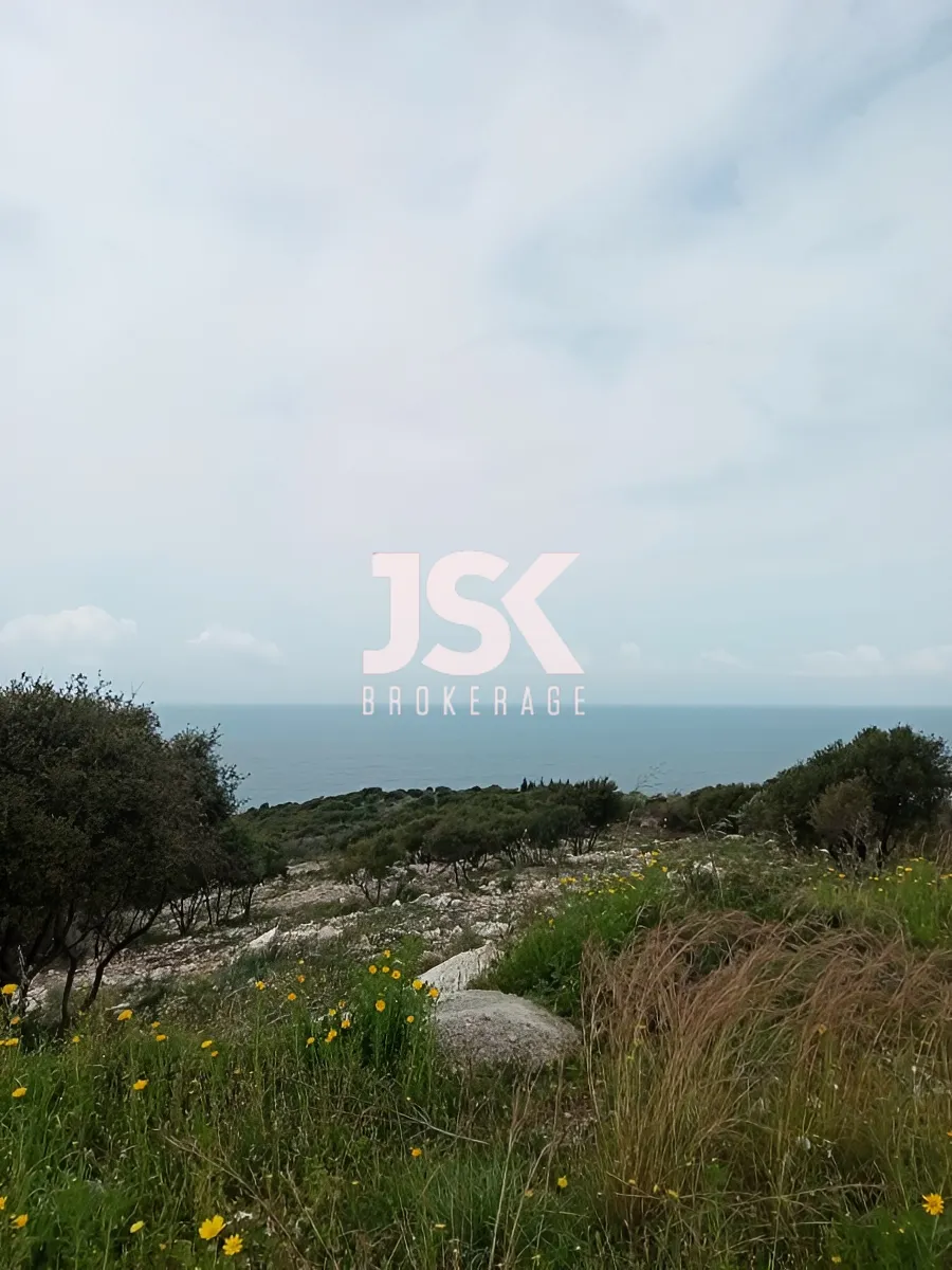 Land for Rent in Berbara