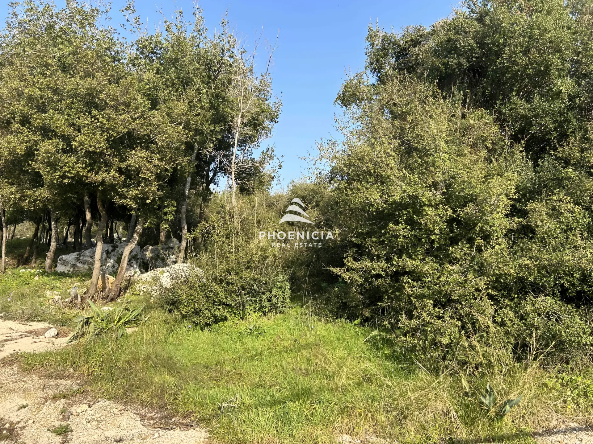 Land for Sale in Bouar, Lebanon
