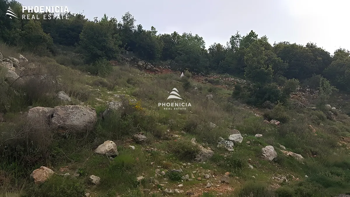 Land for Sale in Ras Osta