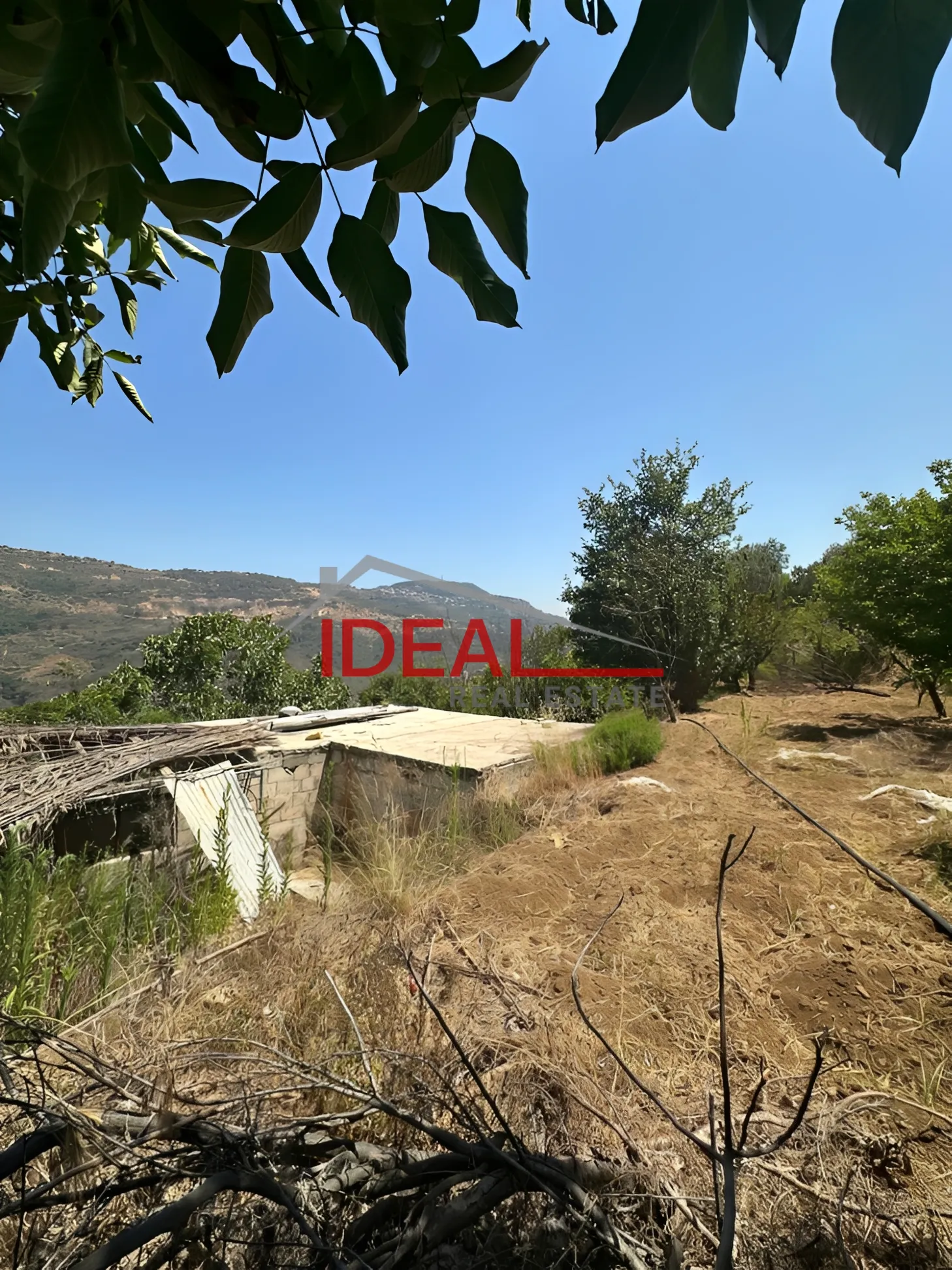 Land for Sale in Dmit, Lebanon