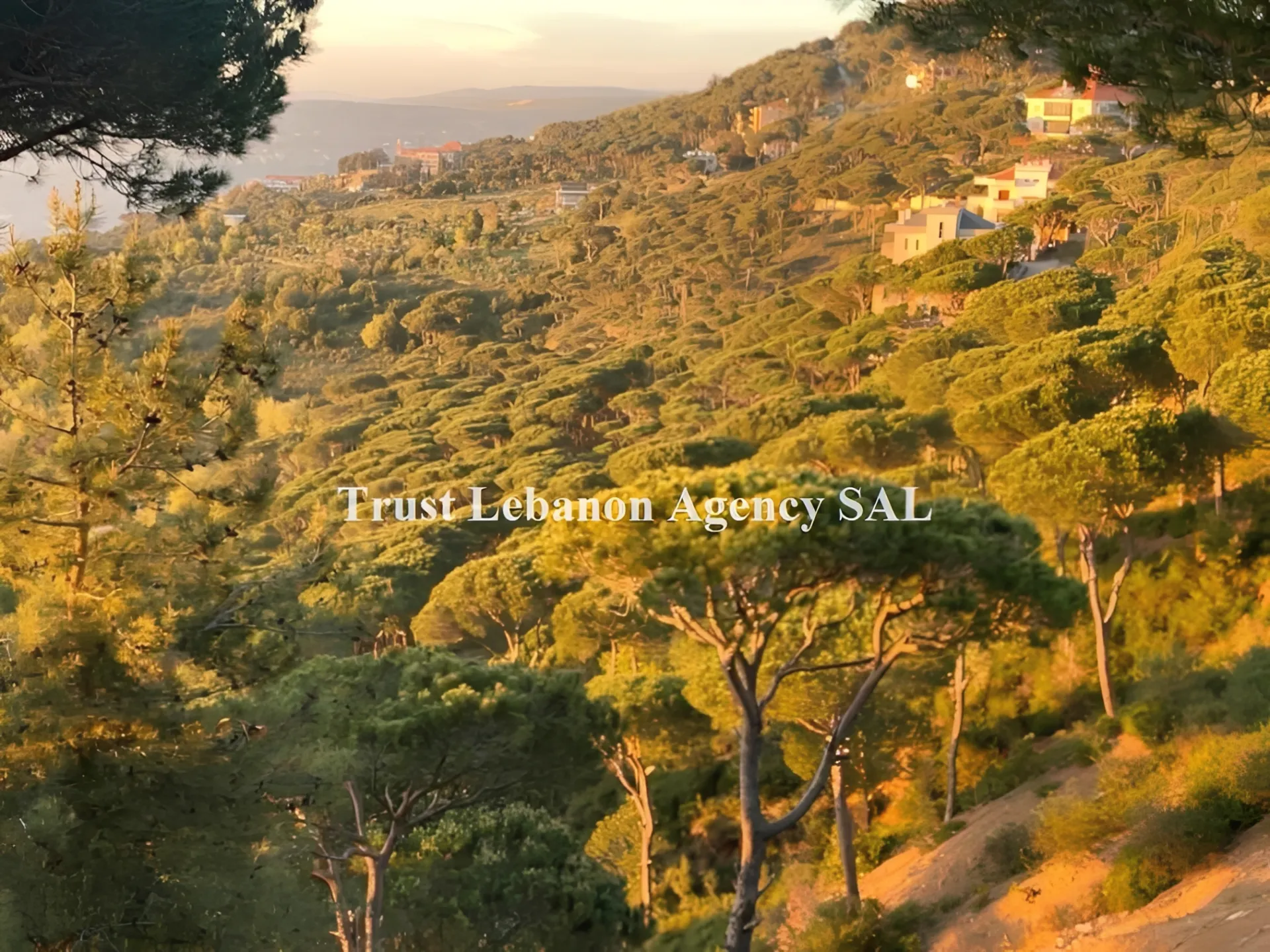 Land for Sale in Bteddine Al Loqc Jezzine