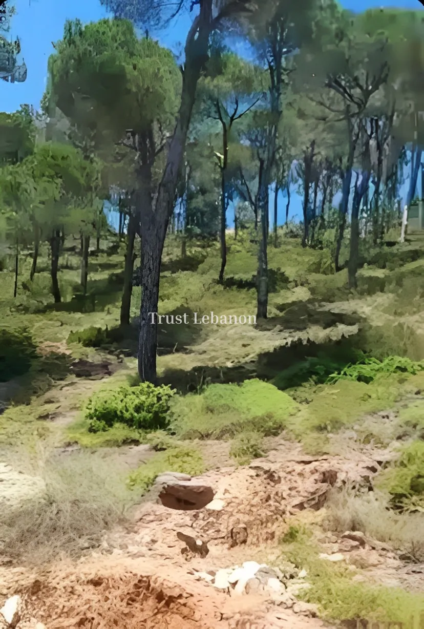 Land for sale in Douar, Lebanon