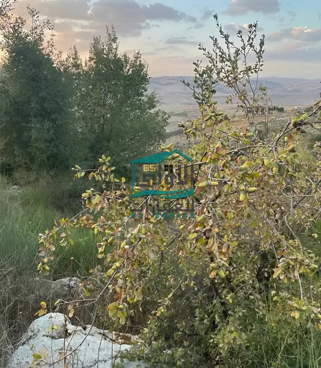 Land in راشيَا، lebanon