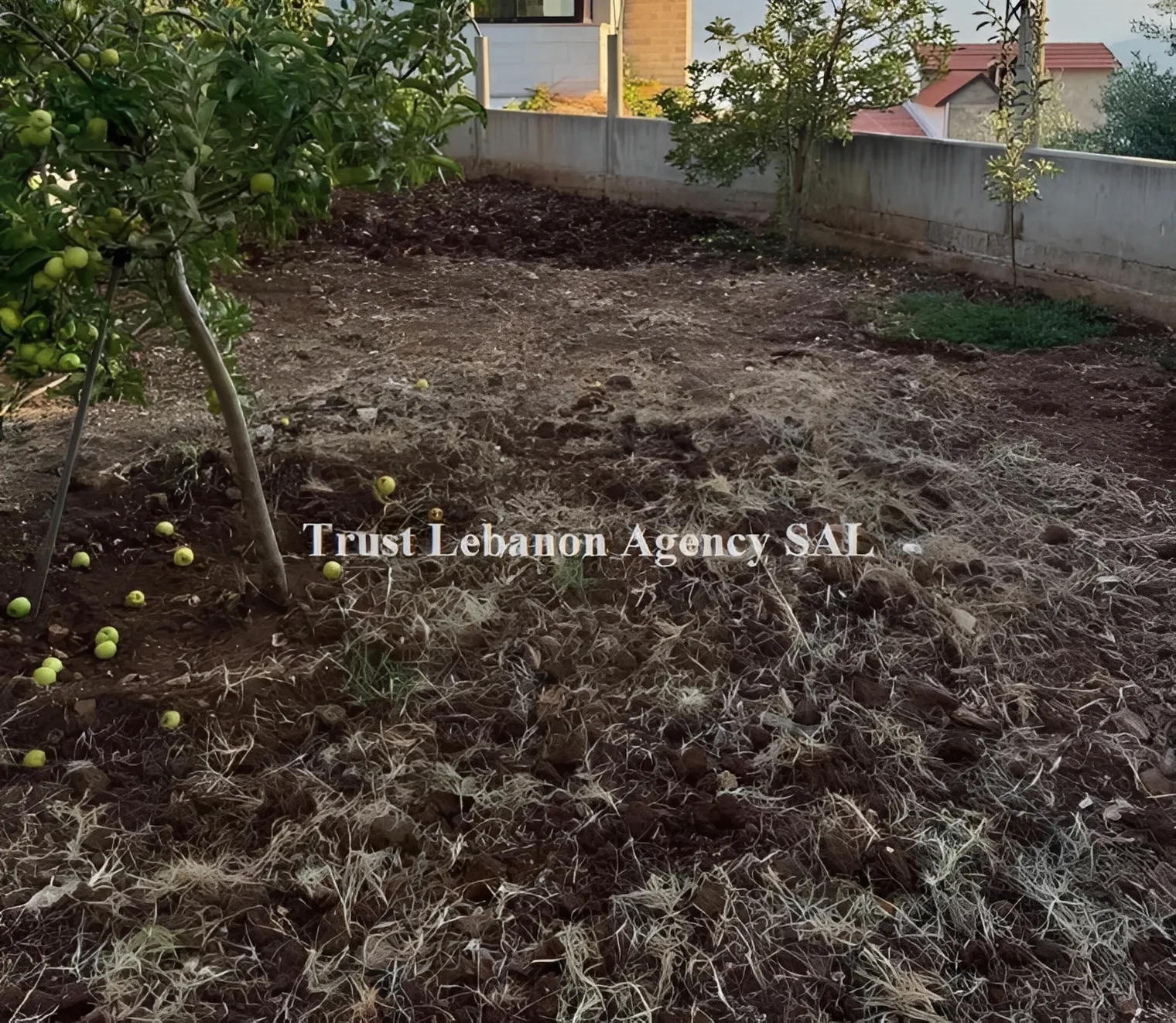 Villa for Rent in Jbeil Lebanon - 3 bed, 4 bath