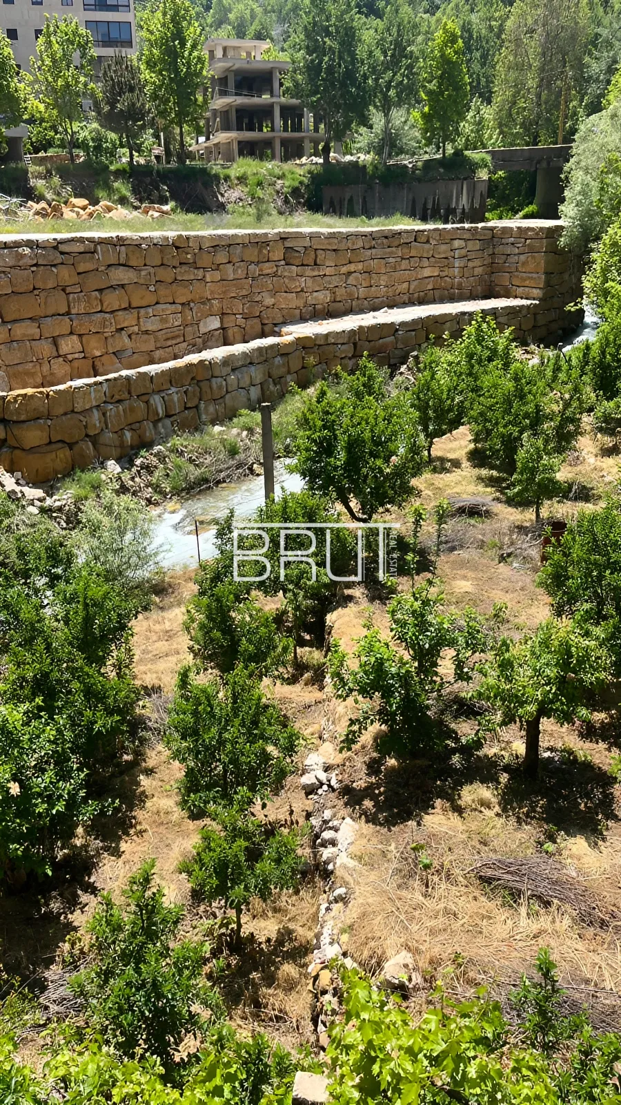 Apartment for Rent in Faraya