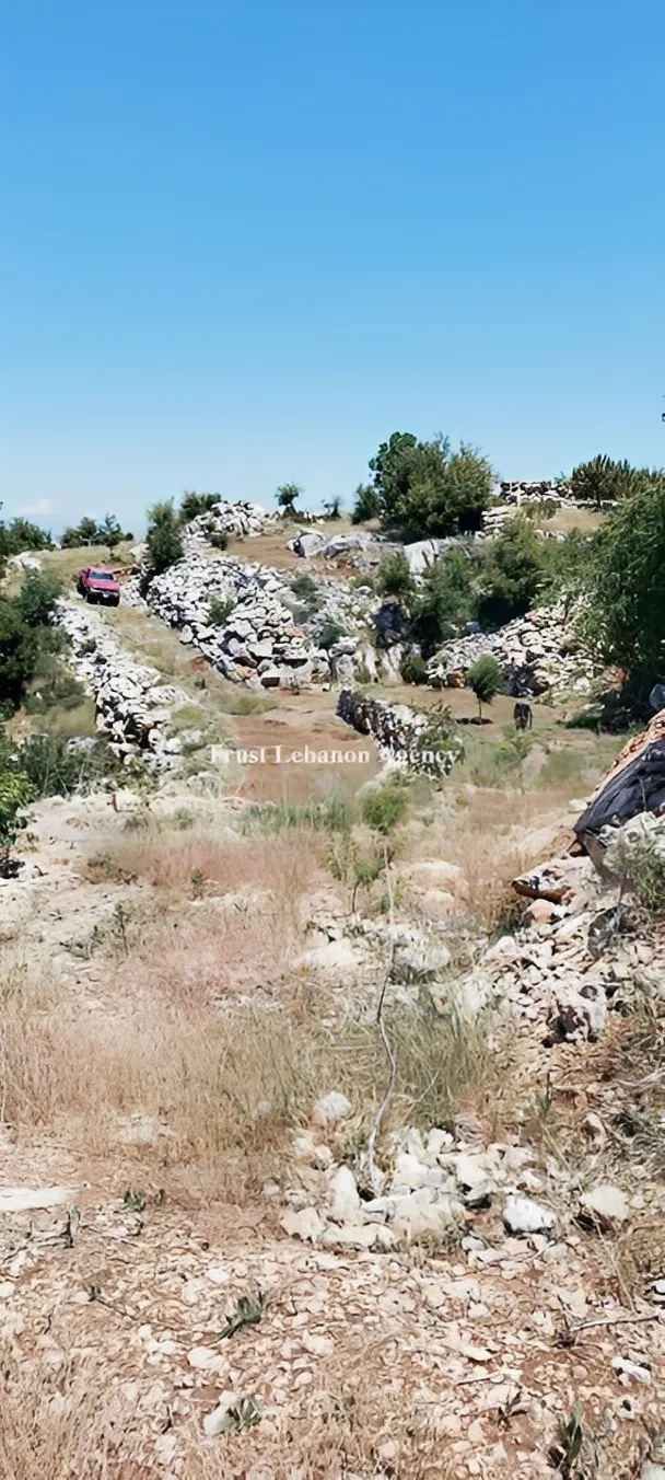 Land for Sale in Nabatiye Lebanon