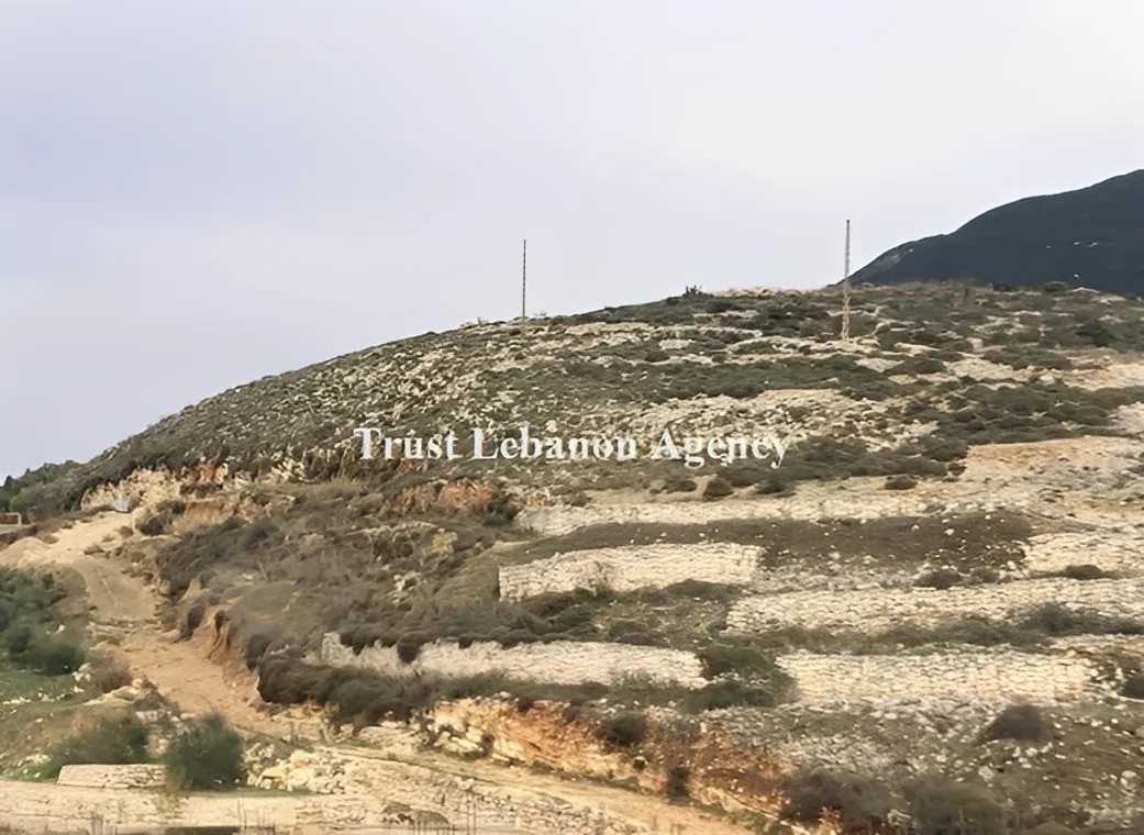 Land for Sale in Nabatiye, Ain qana