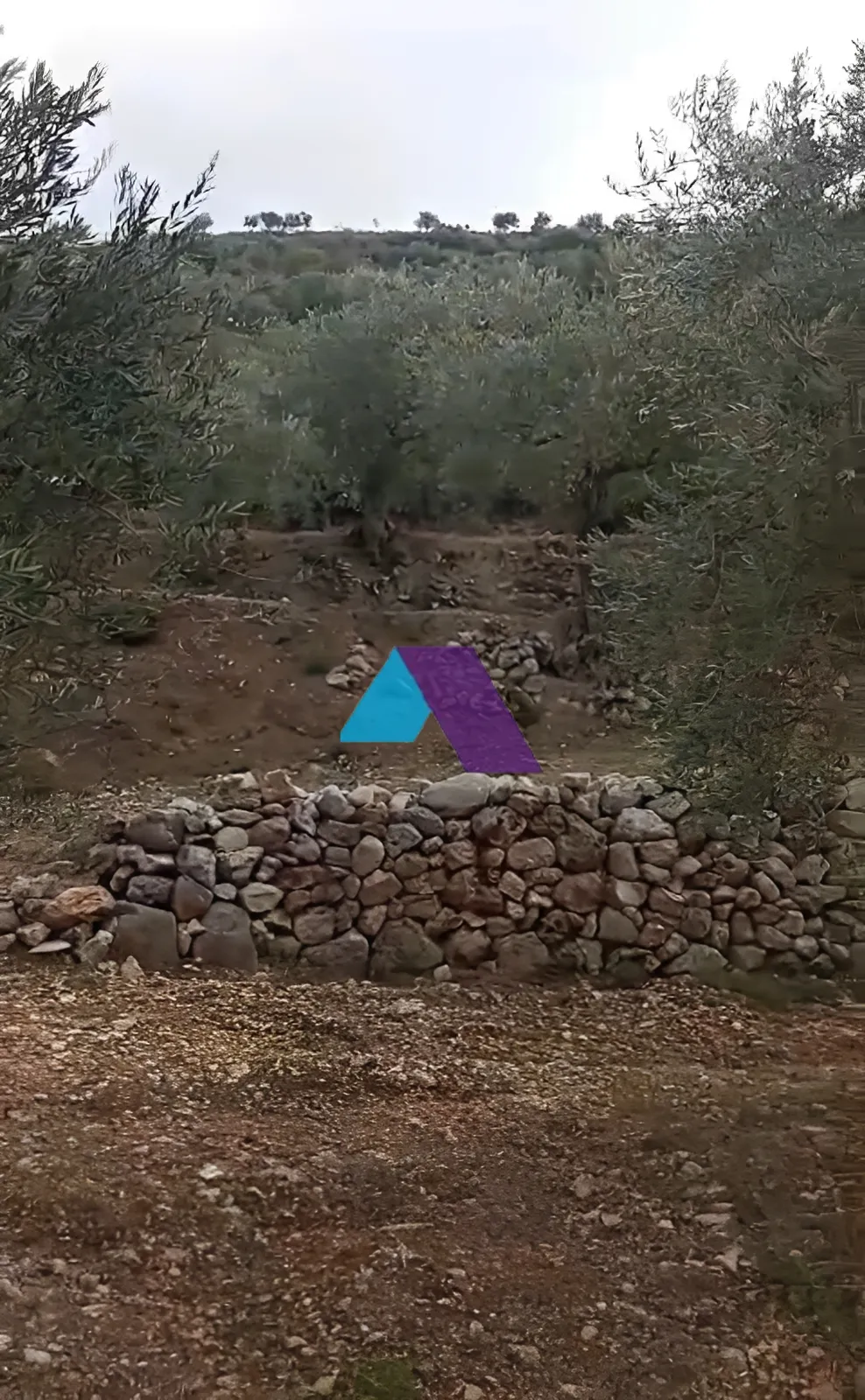 Land for Sale in Koura