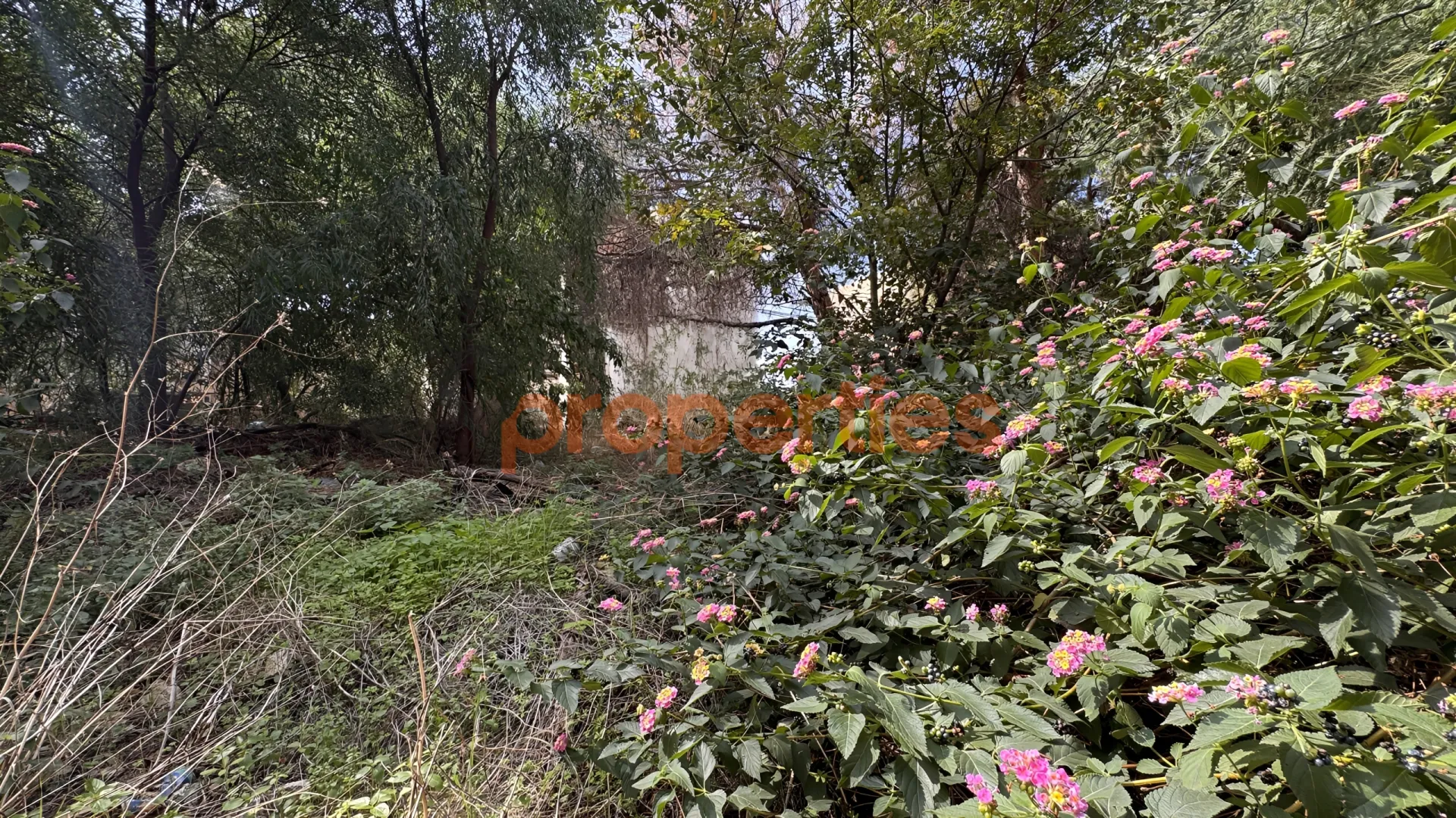 Residential Land for Sale in Aaoukar