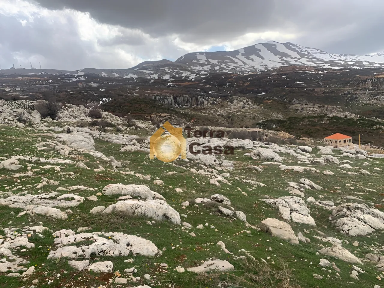 Residential Land for sale in Tarchich
