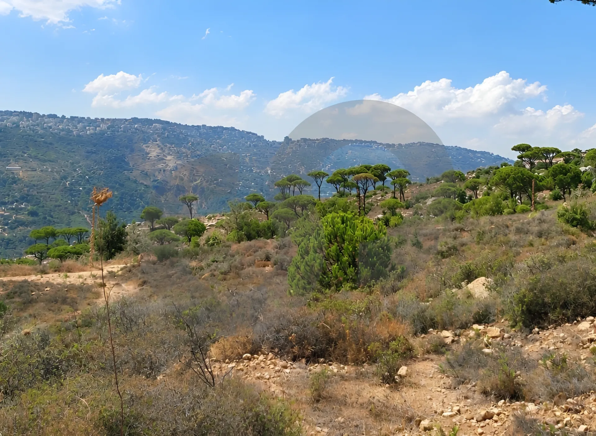 Land for Sale in Ras El Matn