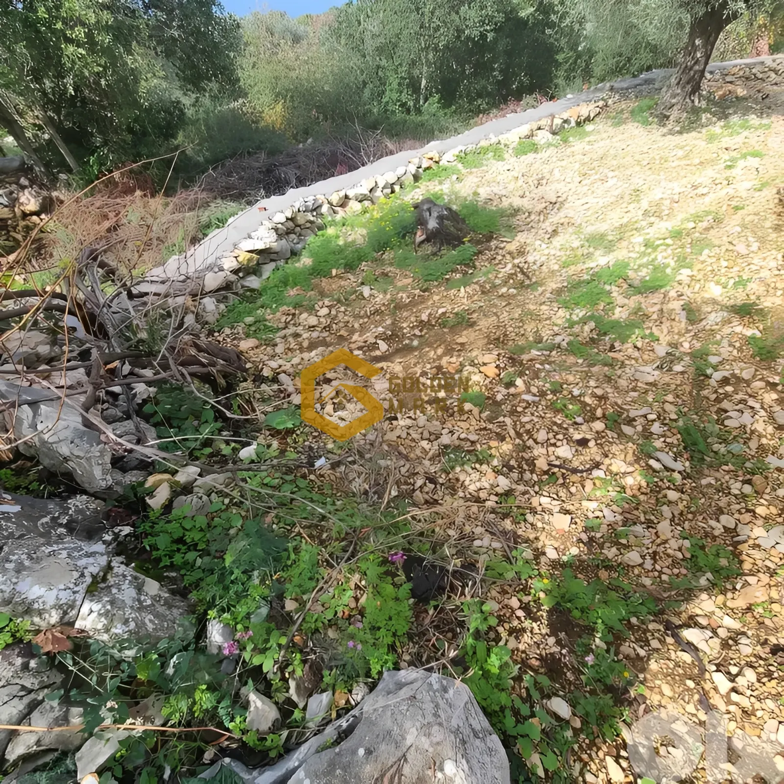 Land for Sale in Byblos