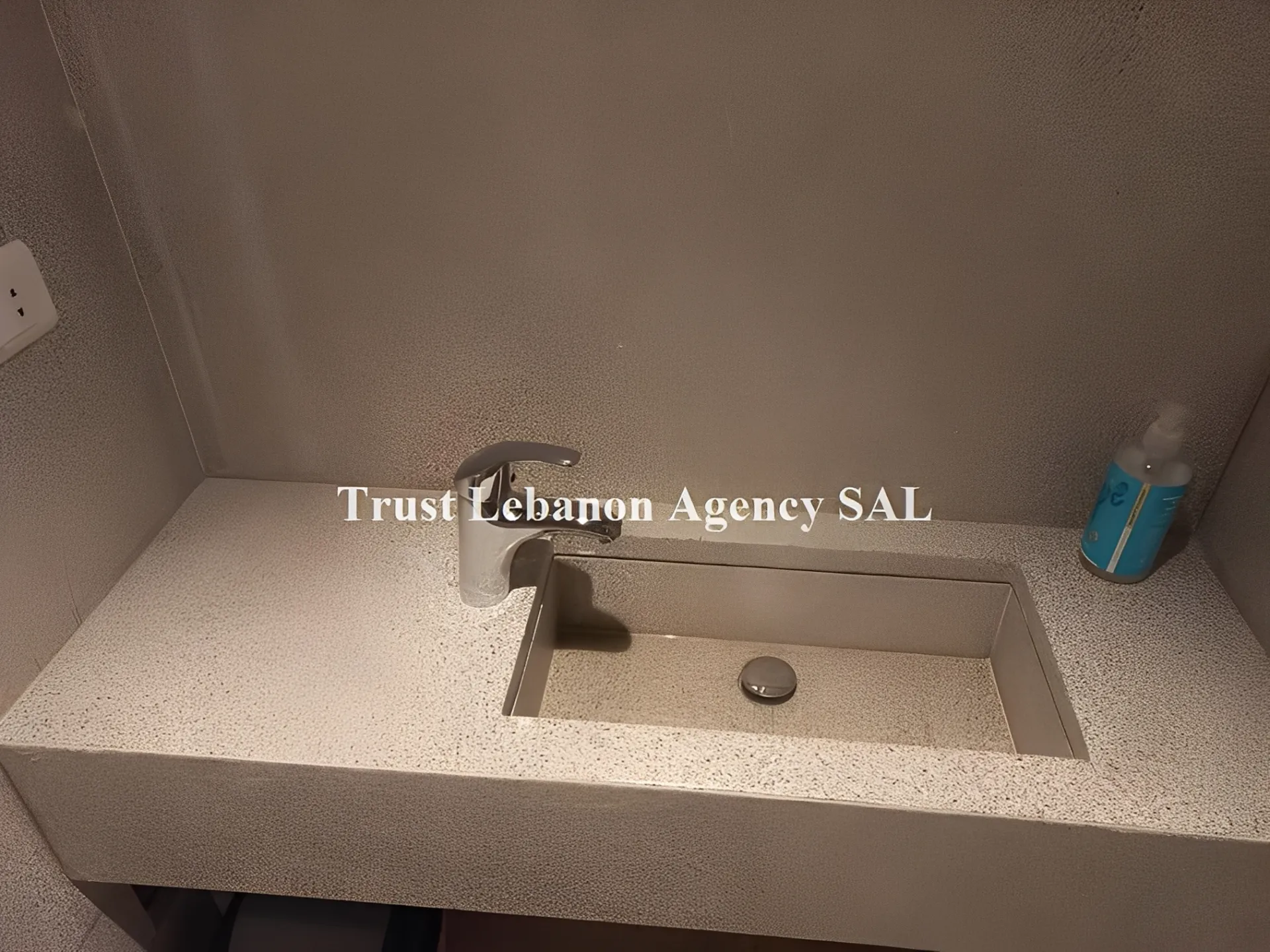 Apartment for Rent in Ashrafieh Beirut Lebanon
