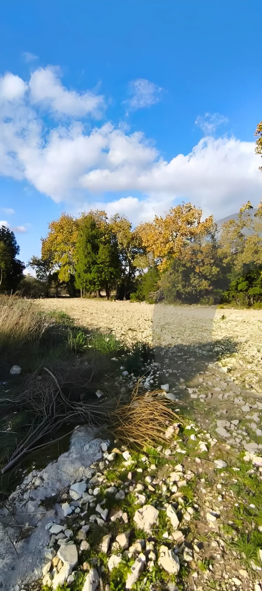 Land for Sale in Bechmizzine, Lebanon