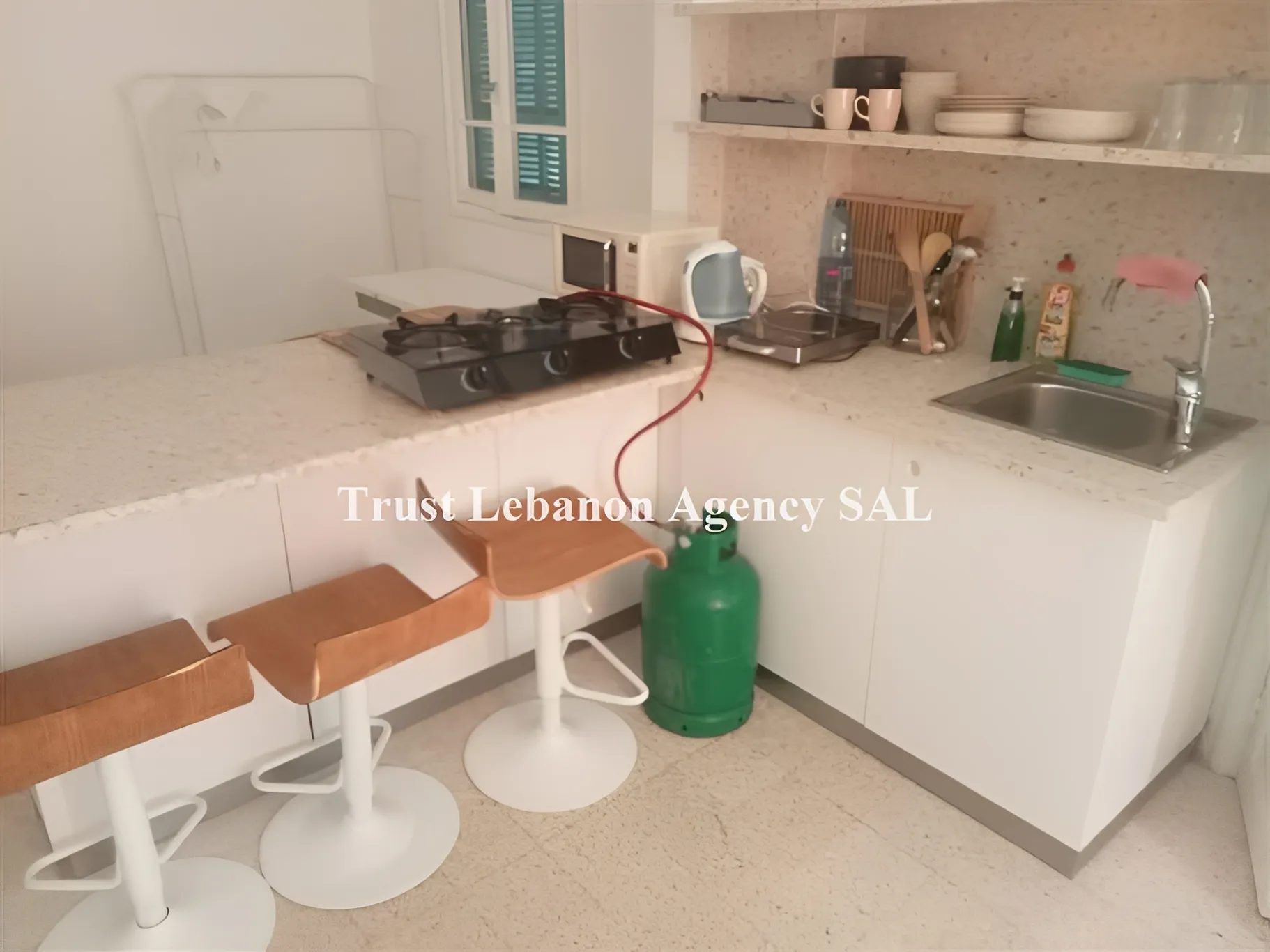 Apartment for Rent in Ashrafieh Beirut Lebanon