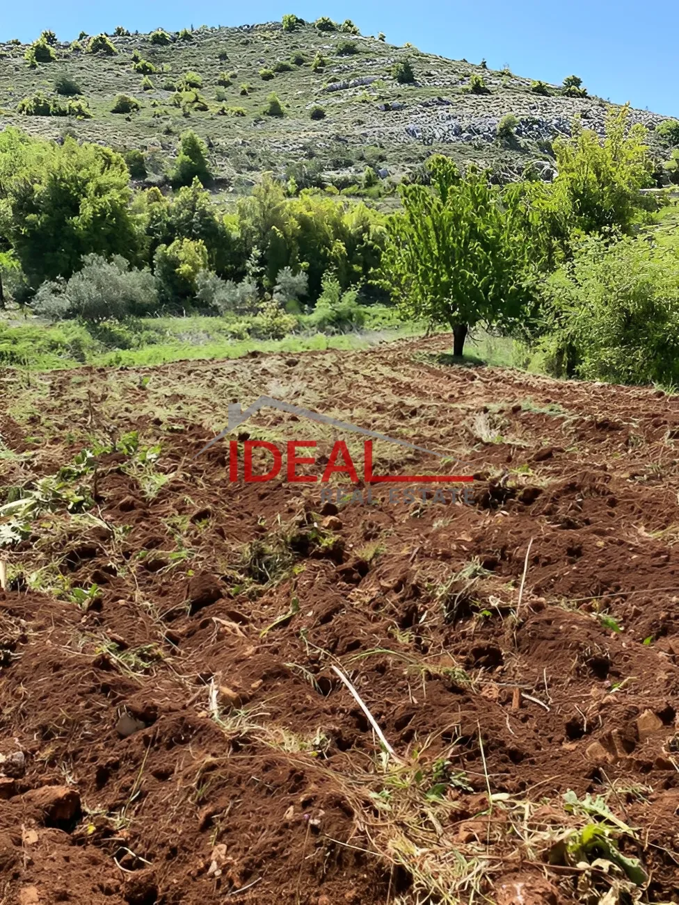 Land for Sale in Jbaa, Lebanon