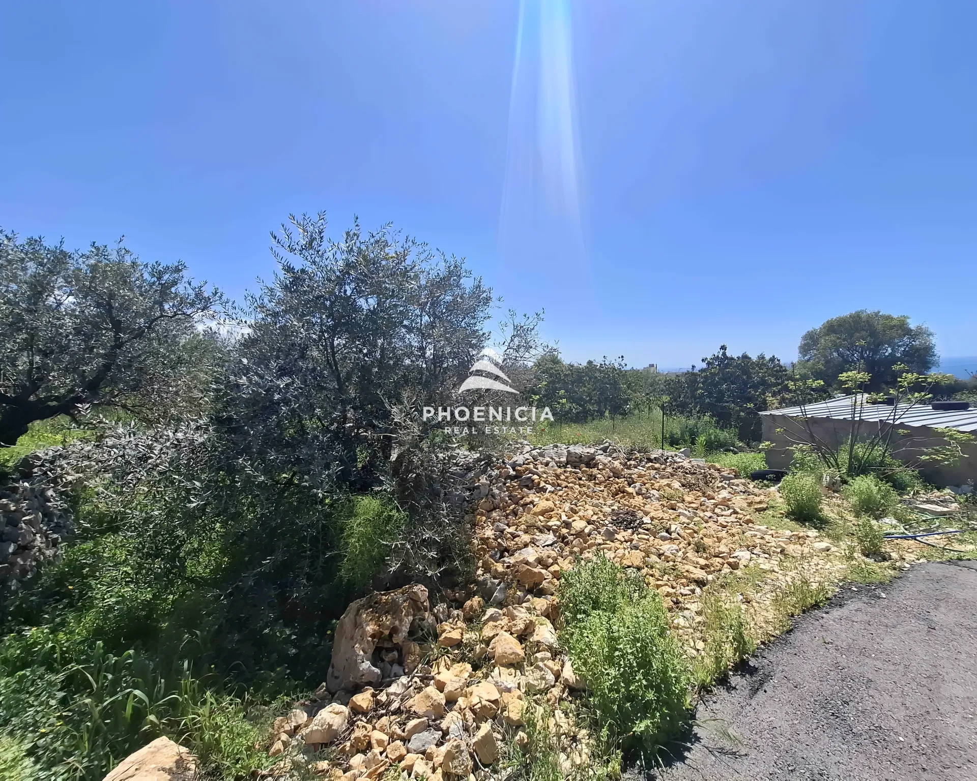 Land for Sale in Monsef