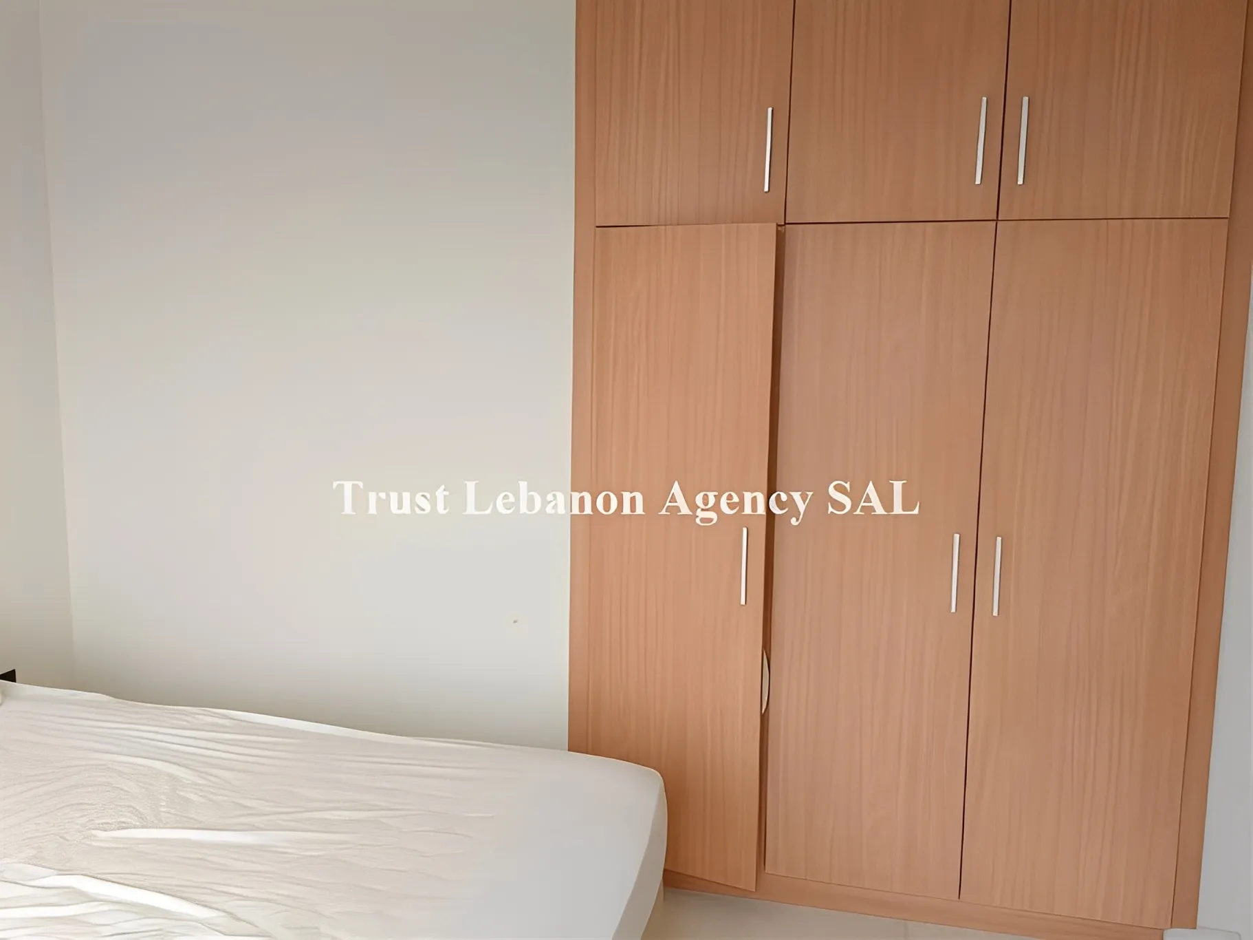 Apartment for Rent in Achrafieh Sioufi Lebanon