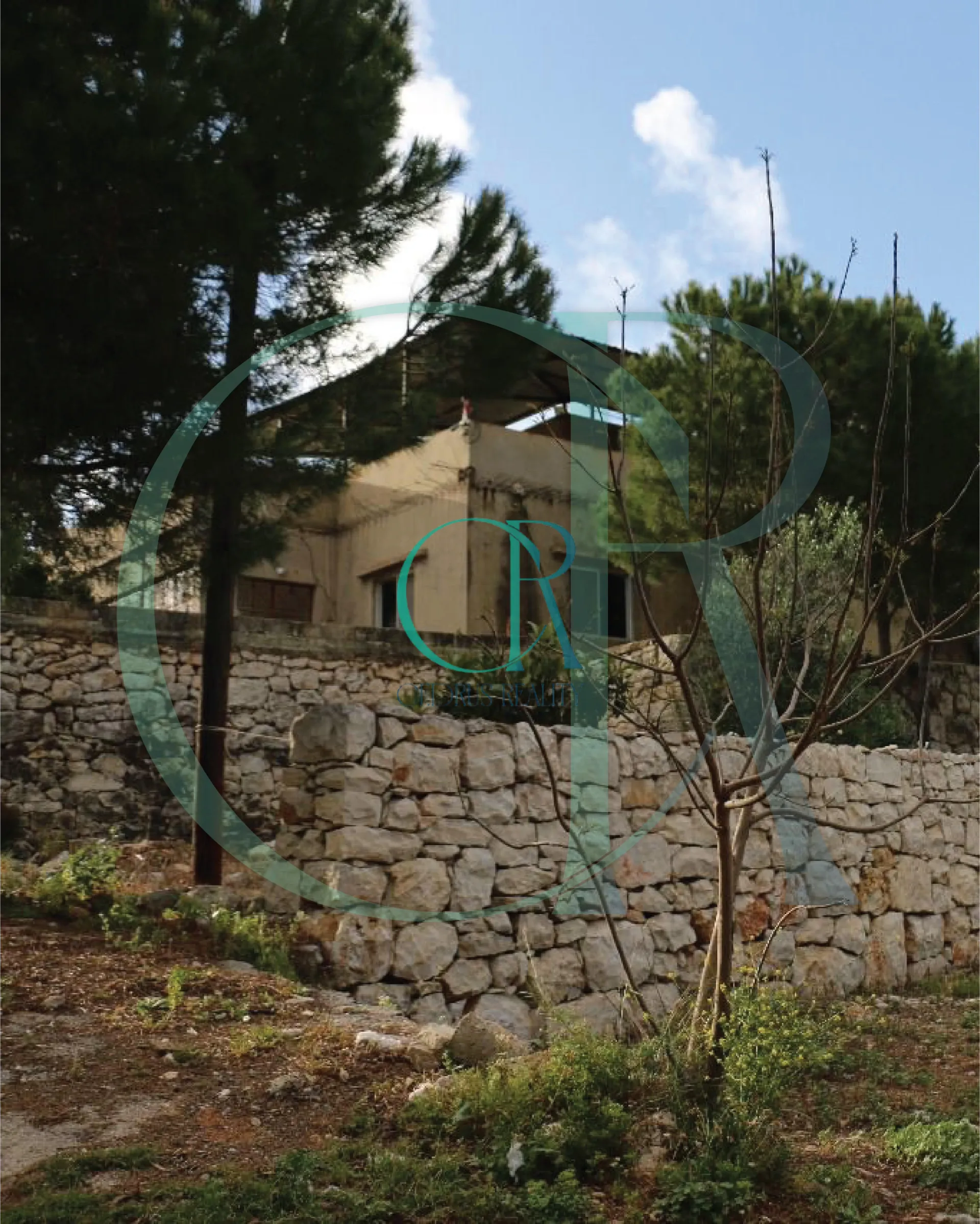 House for sale in Jrane, Edde, Lebanon