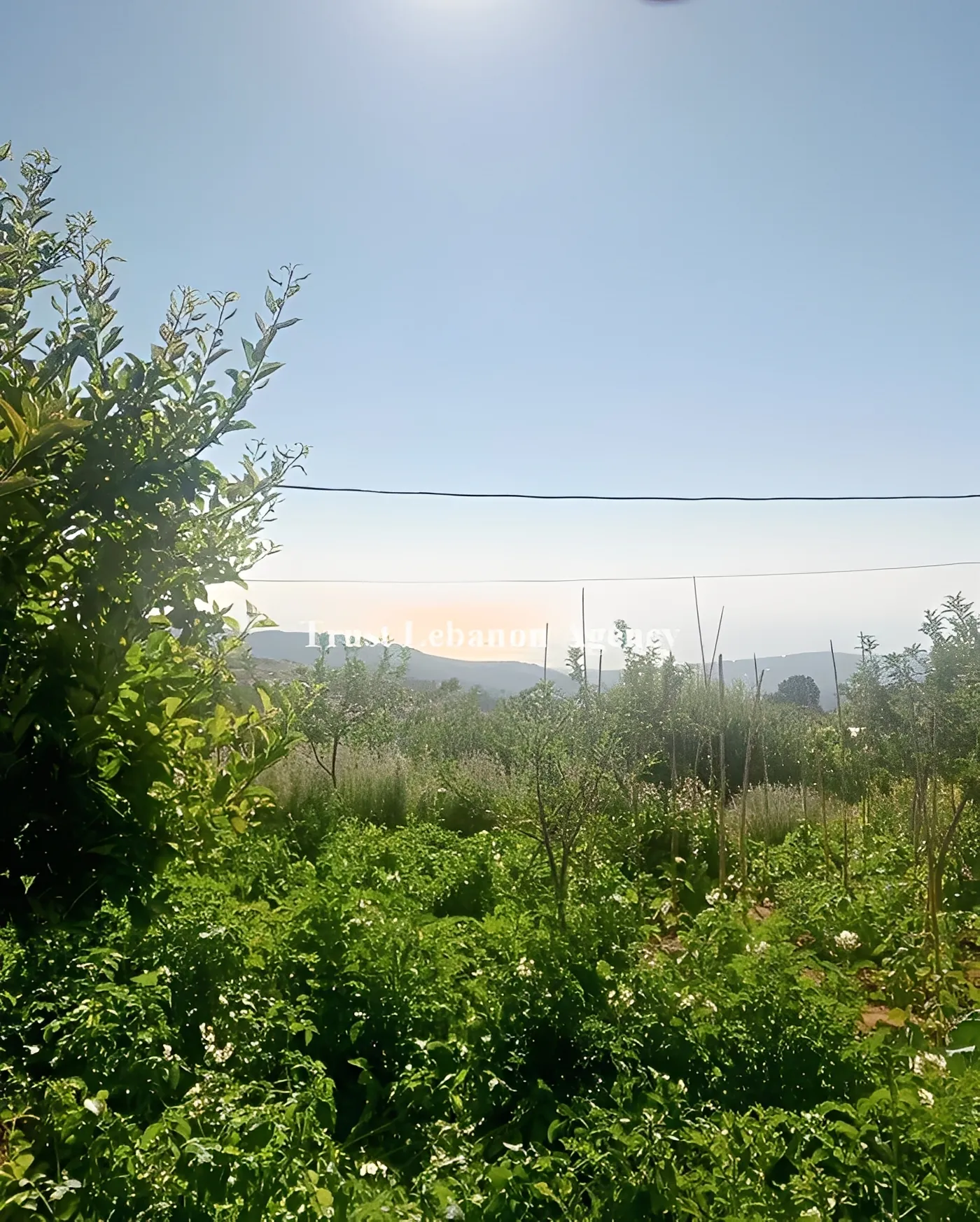Land for Sale in Metn Zaarour Lebanon