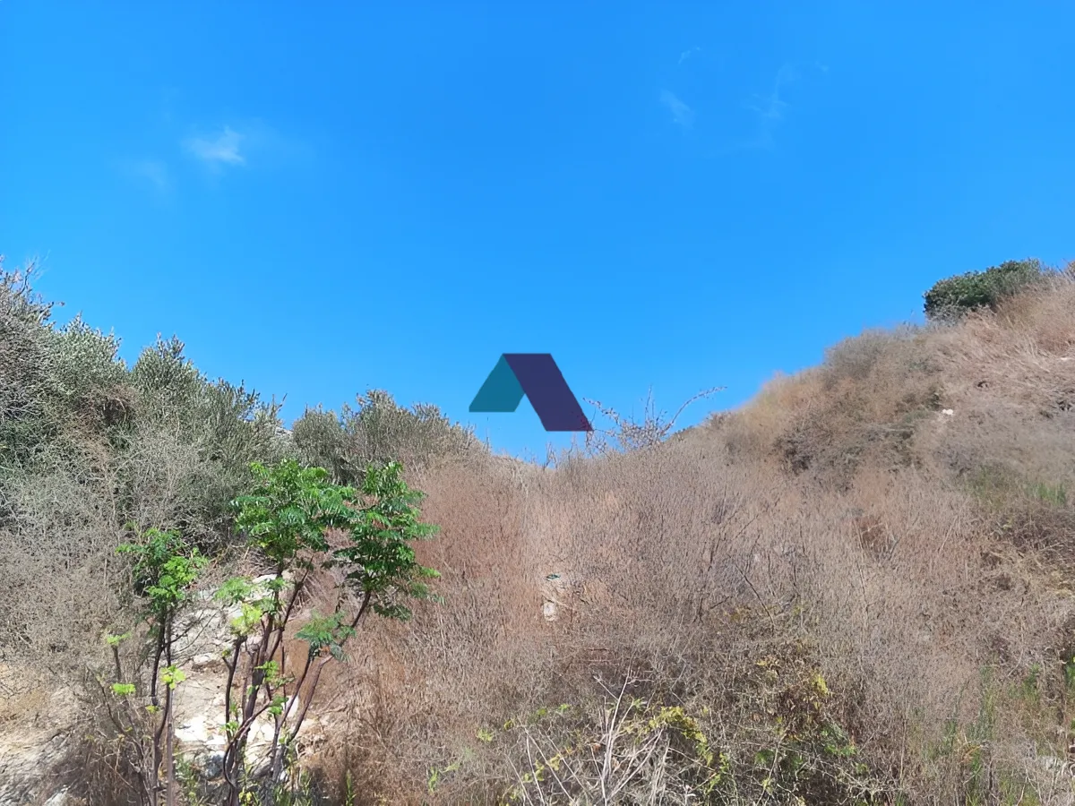 Land for Sale in Batroun