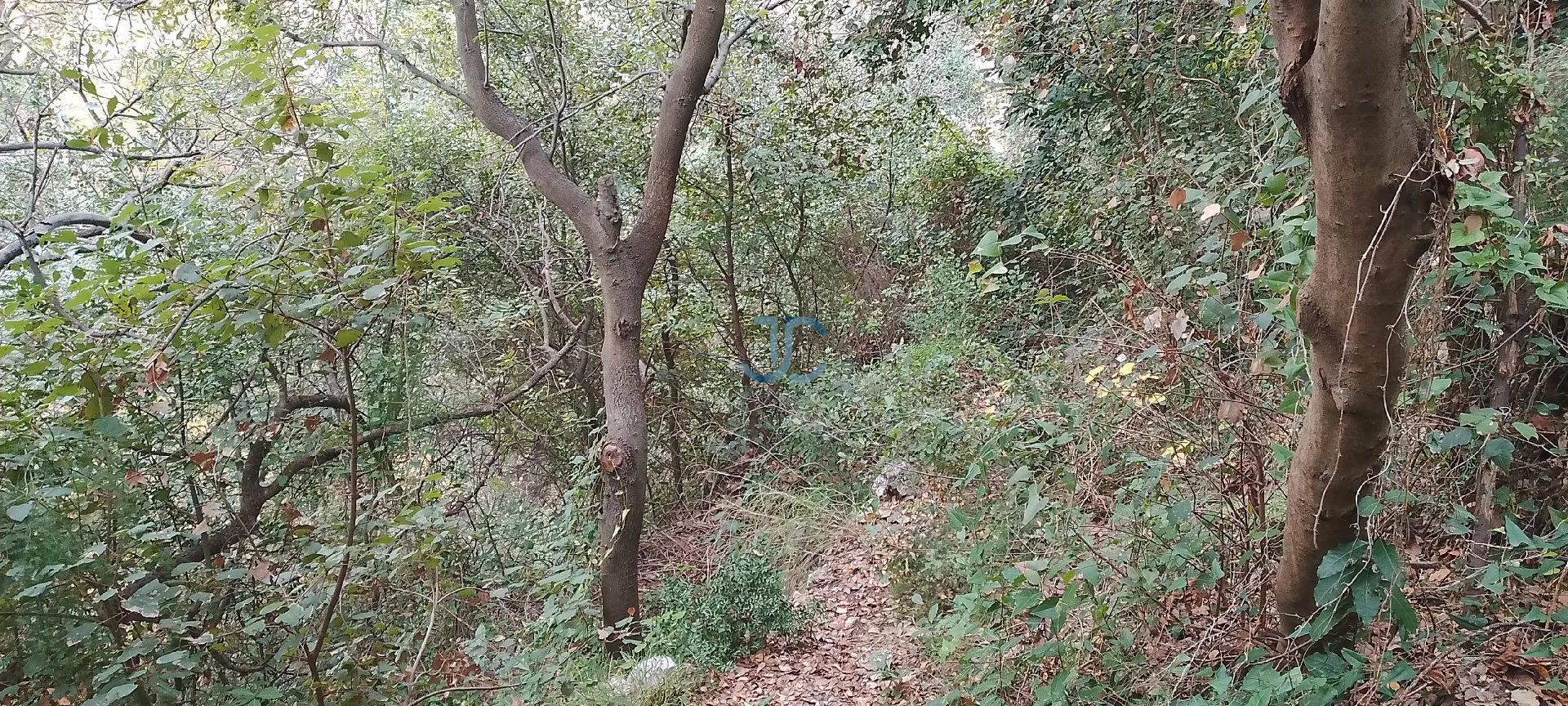 Land for sale in Sahel alma, lebanon