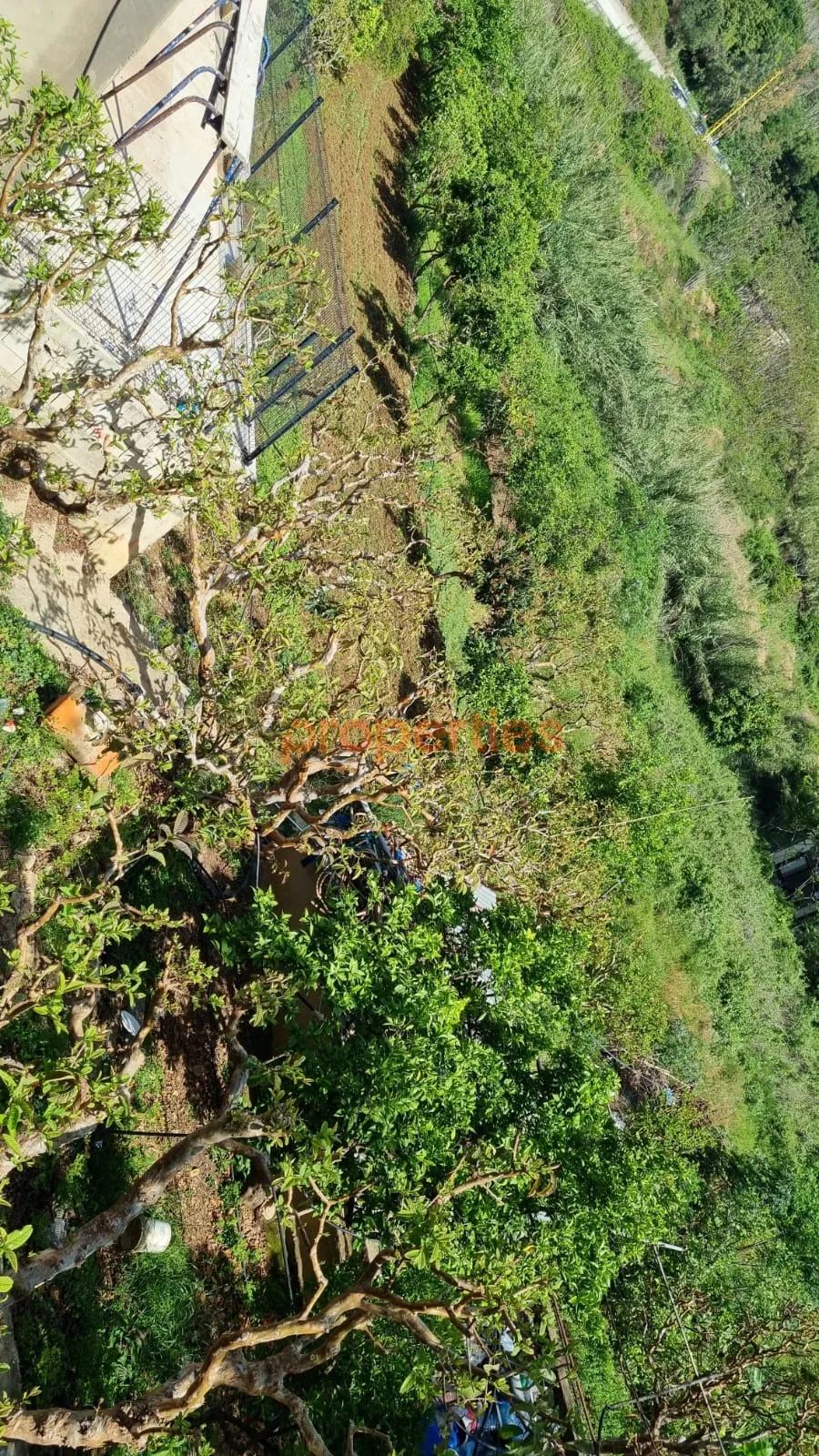 Residential Land for Rent in Kahaleh