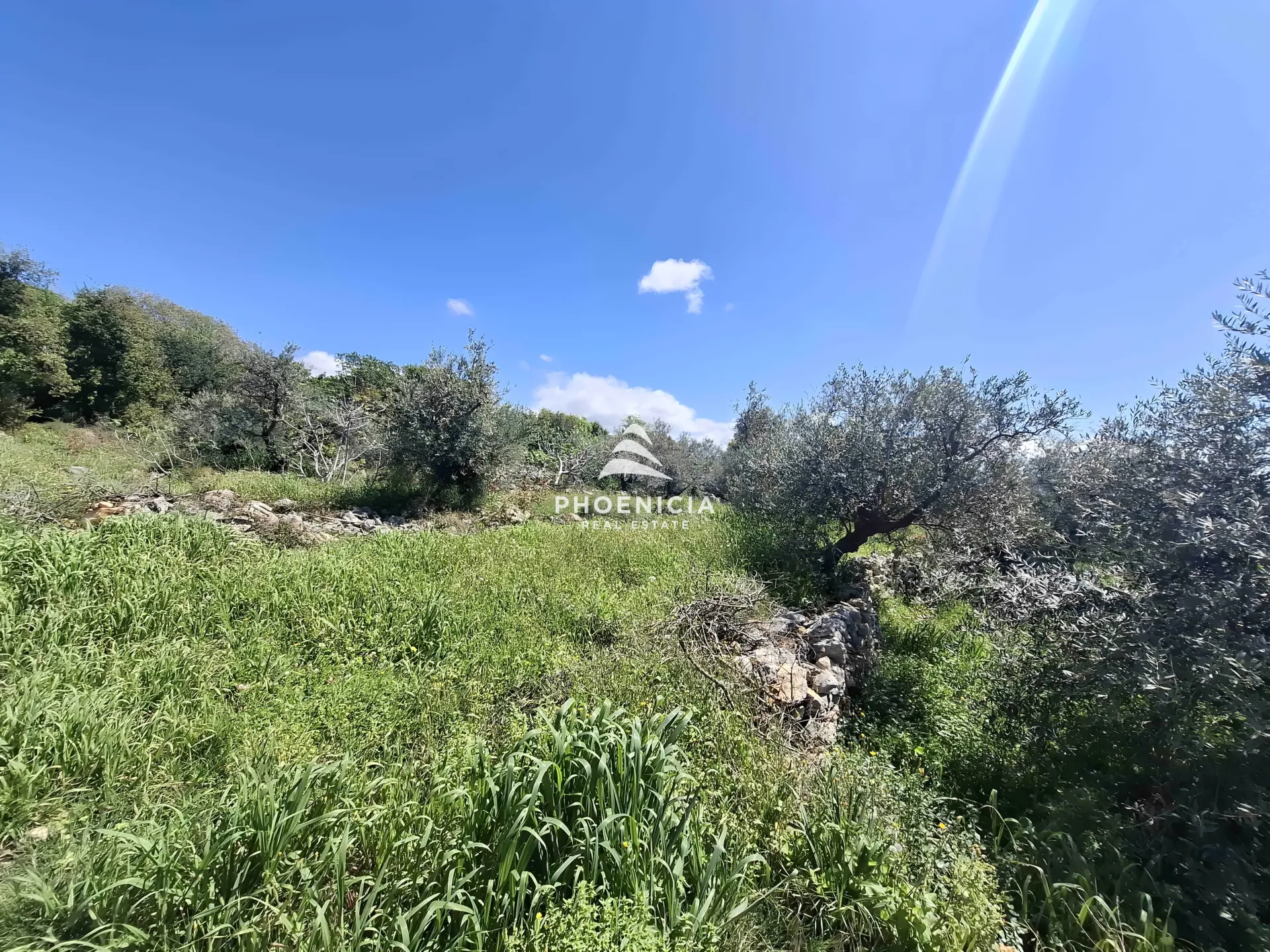 Land for Sale in Monsef