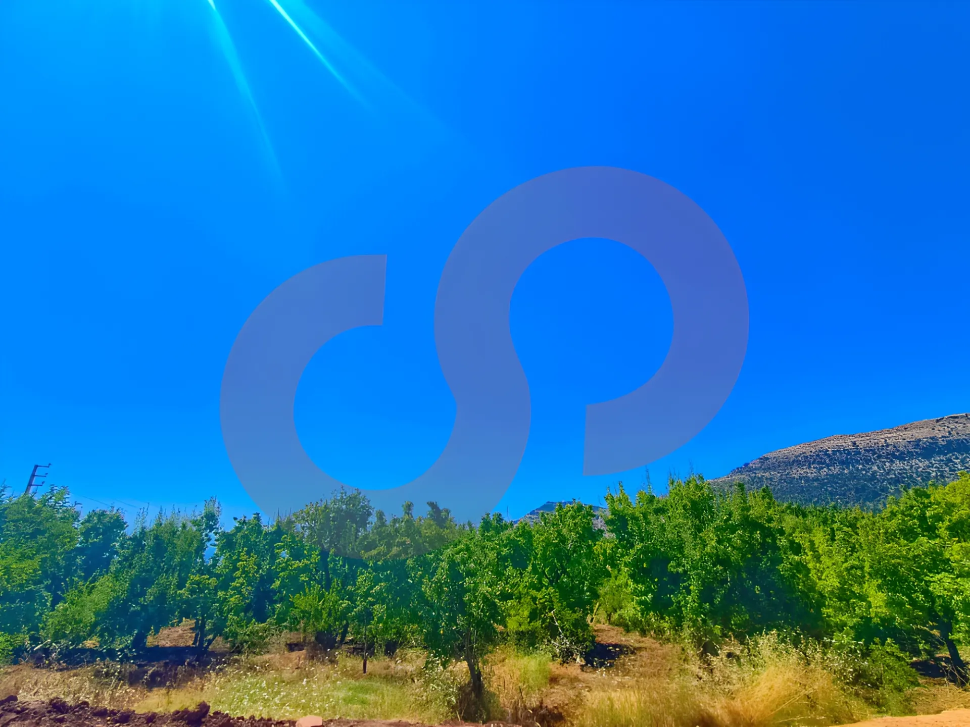 Land for Sale in Ehden
