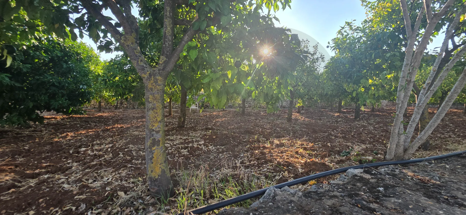 Land for Sale in Koura
