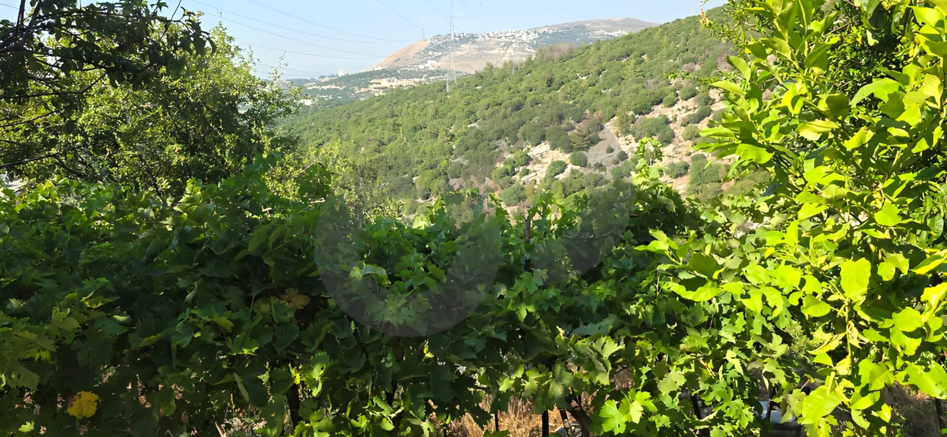Apartment for Sale in Koura