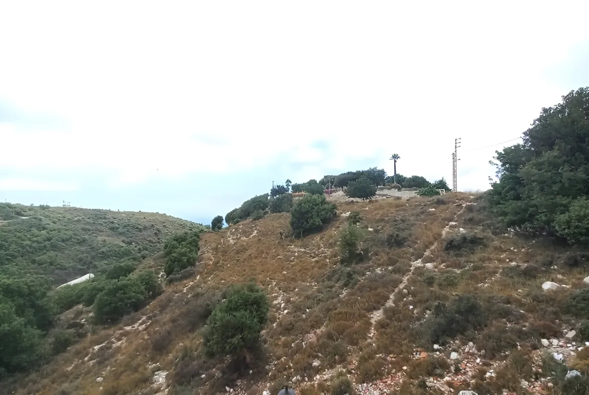 Land for Sale in Blat