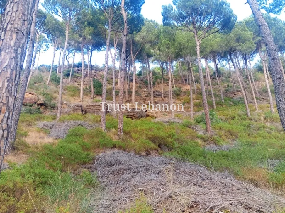 Residential Land for sale in Silfaya, Lebanon