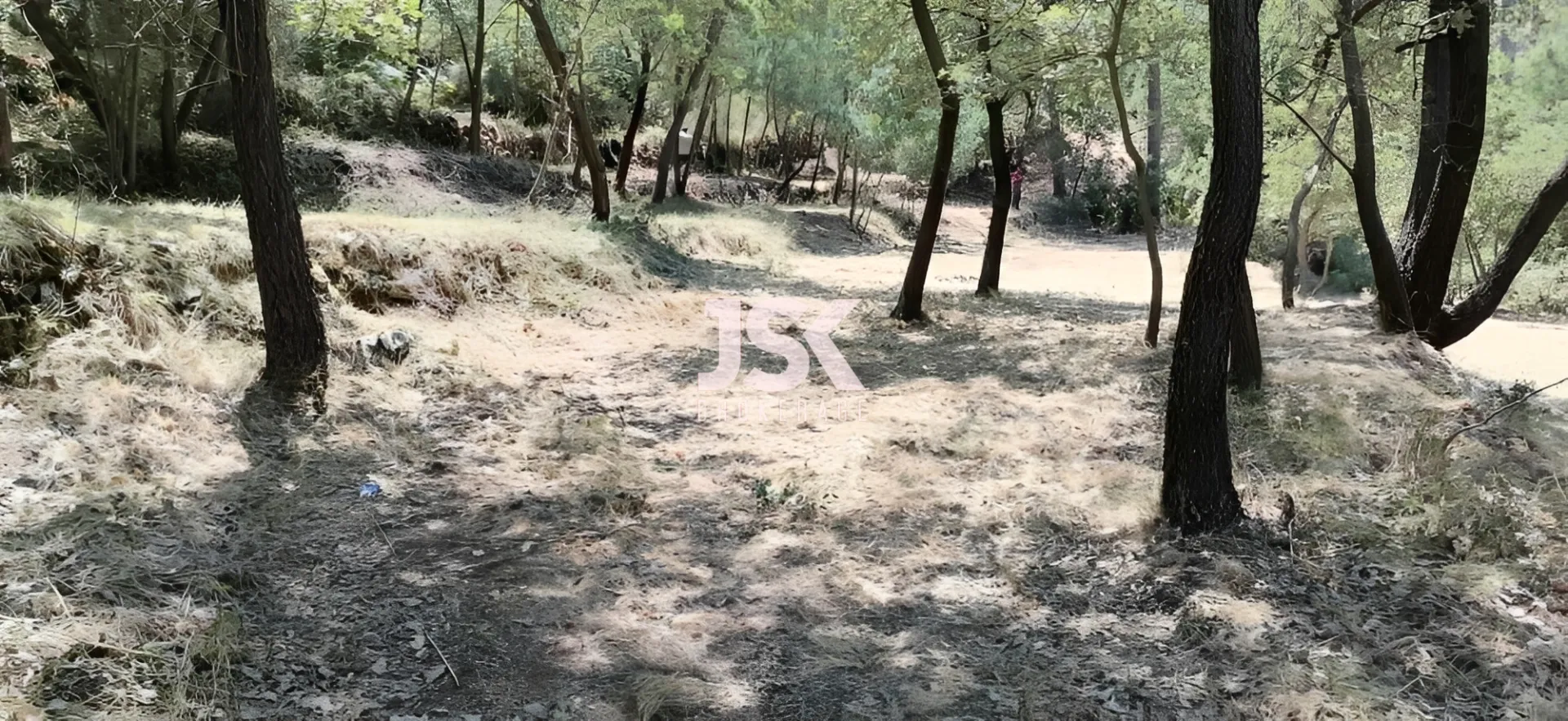 Land for Sale in Bzebdine, Lebanon