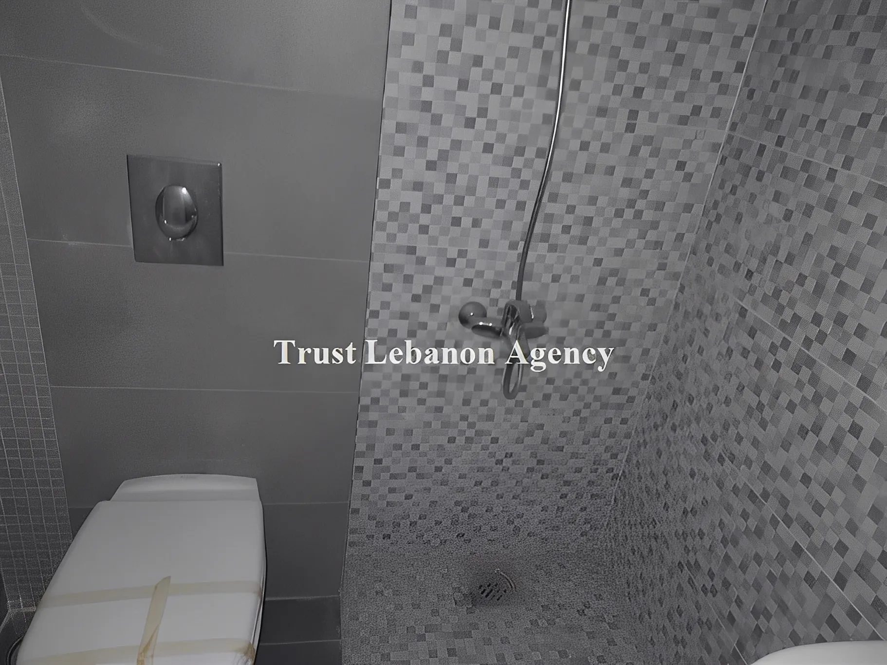 Apartment for Sale in Achrafieh Sessine Lebanon