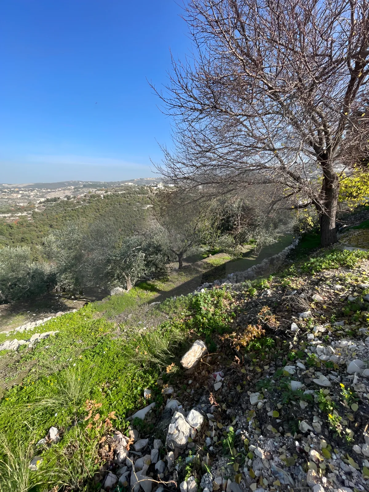 Land for Sale in Byblos