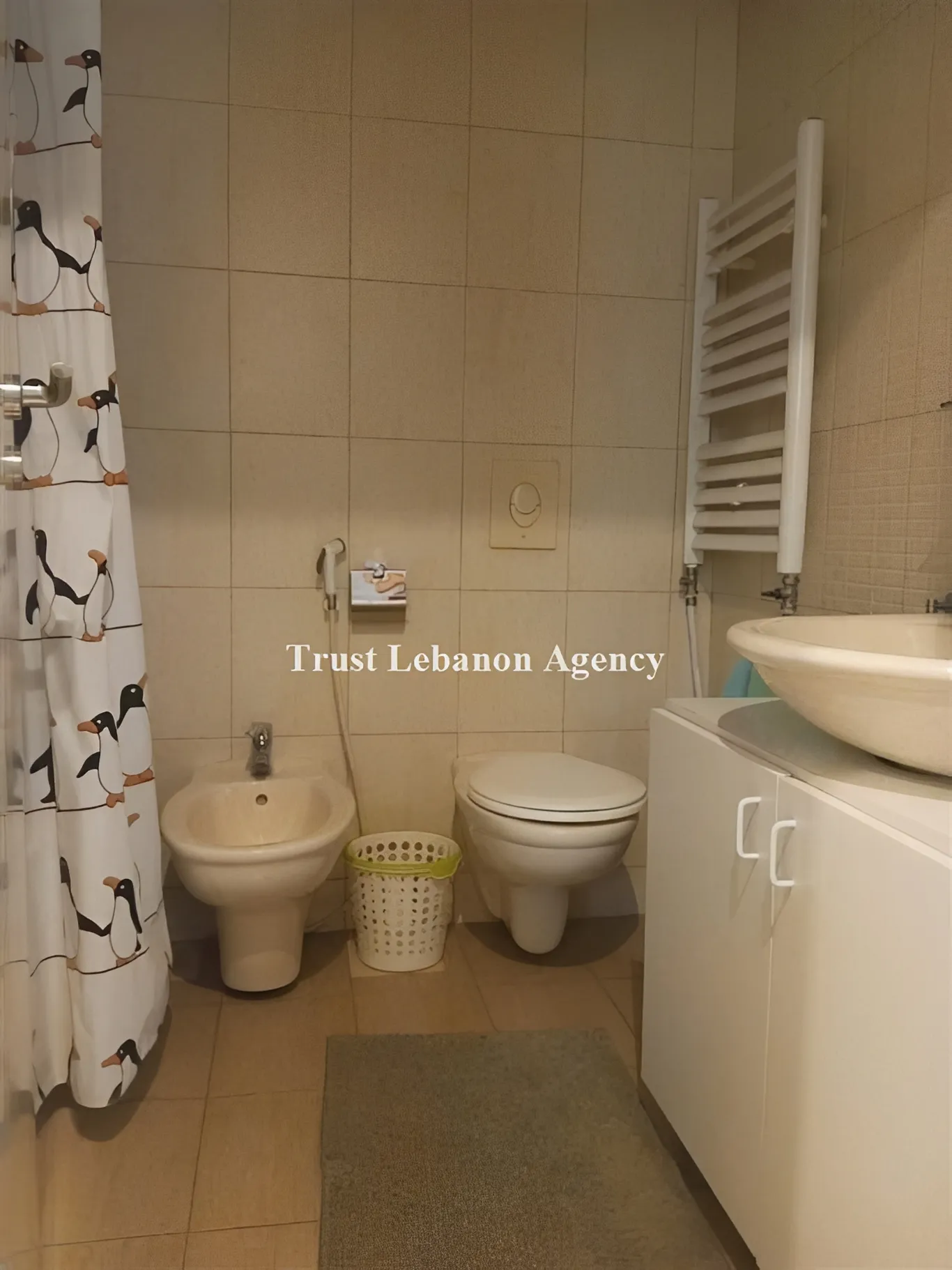 Apartment for Rent in Ashrafieh Beirut Lebanon