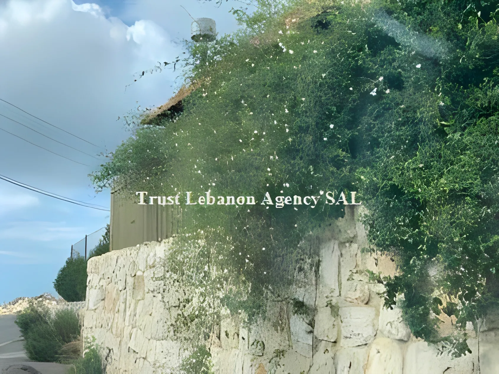 Villa for Sale in Jbeil Lebanon