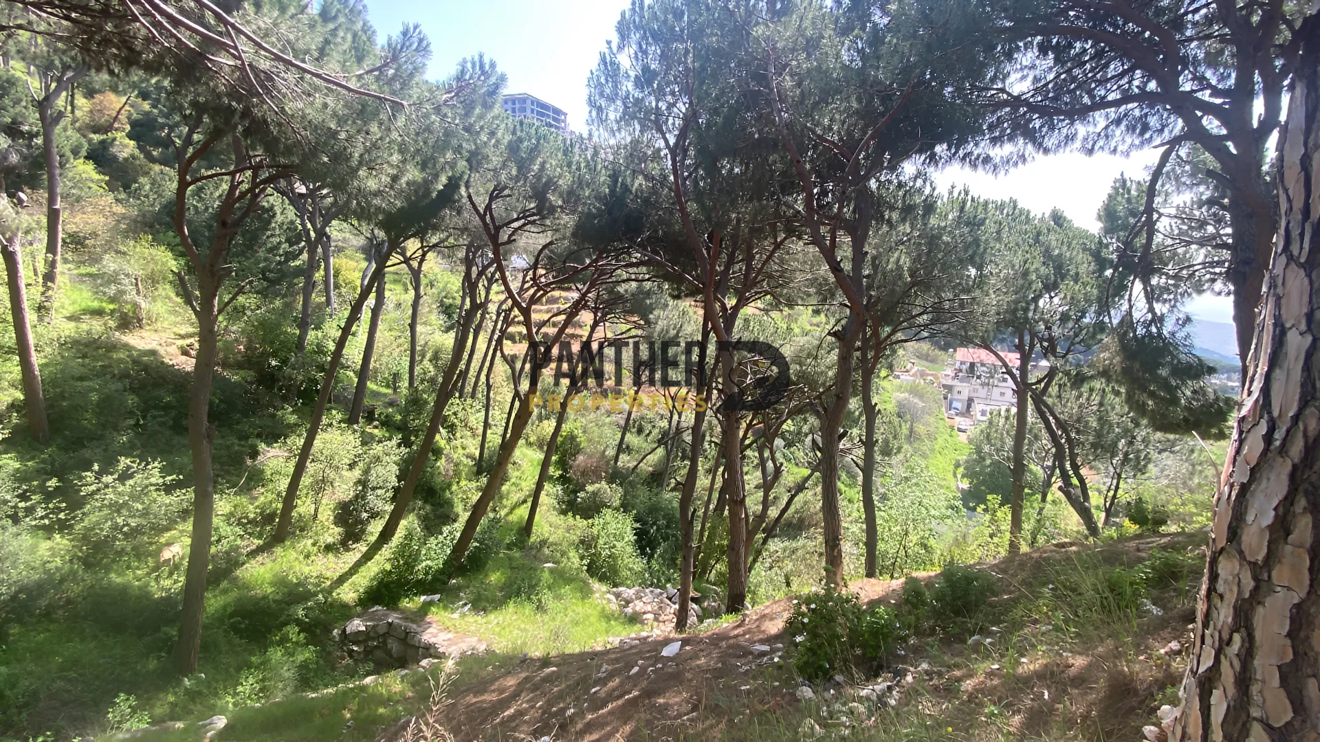 Land for sale in Ain saadeh, lebanon